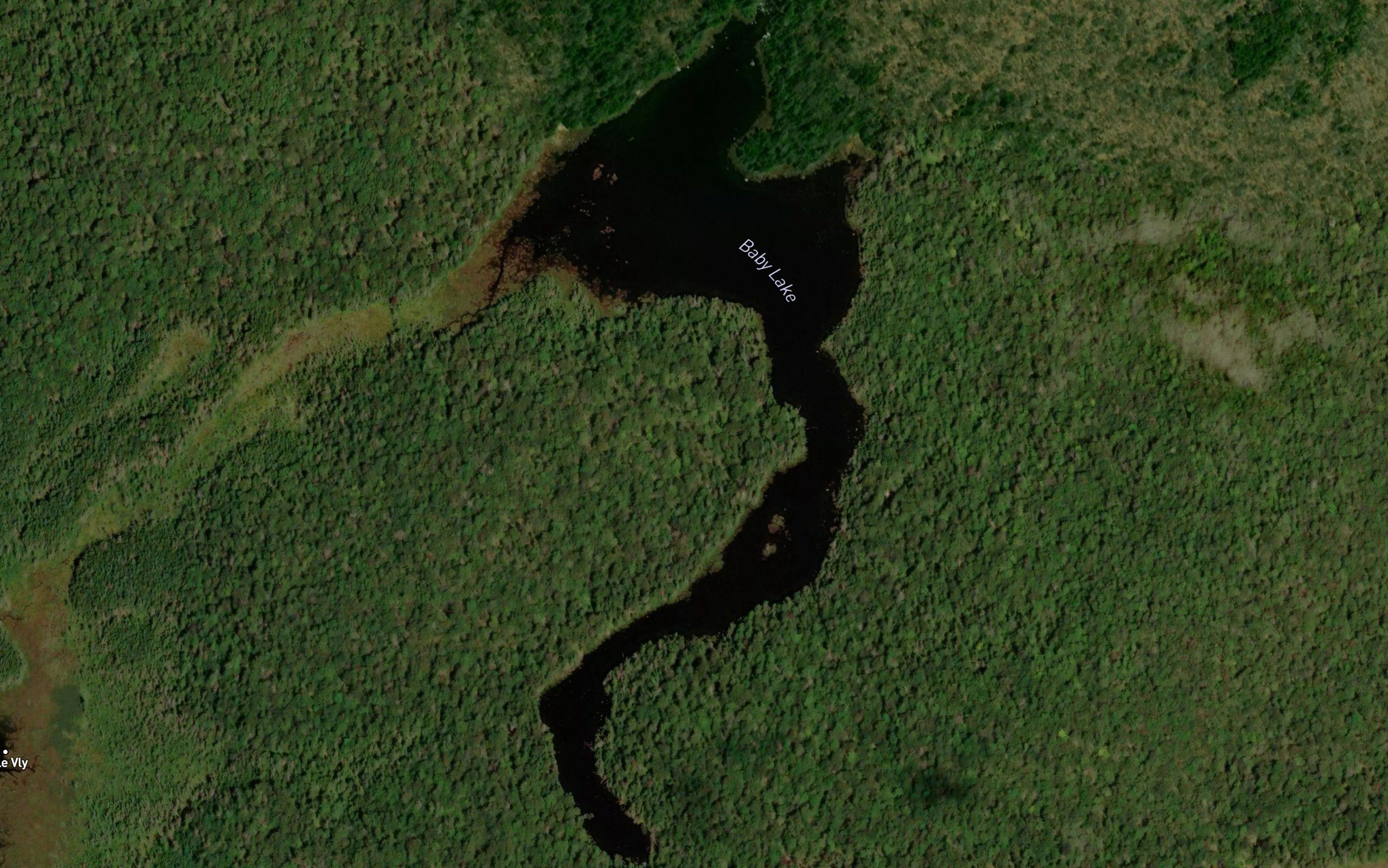 Baby Lake