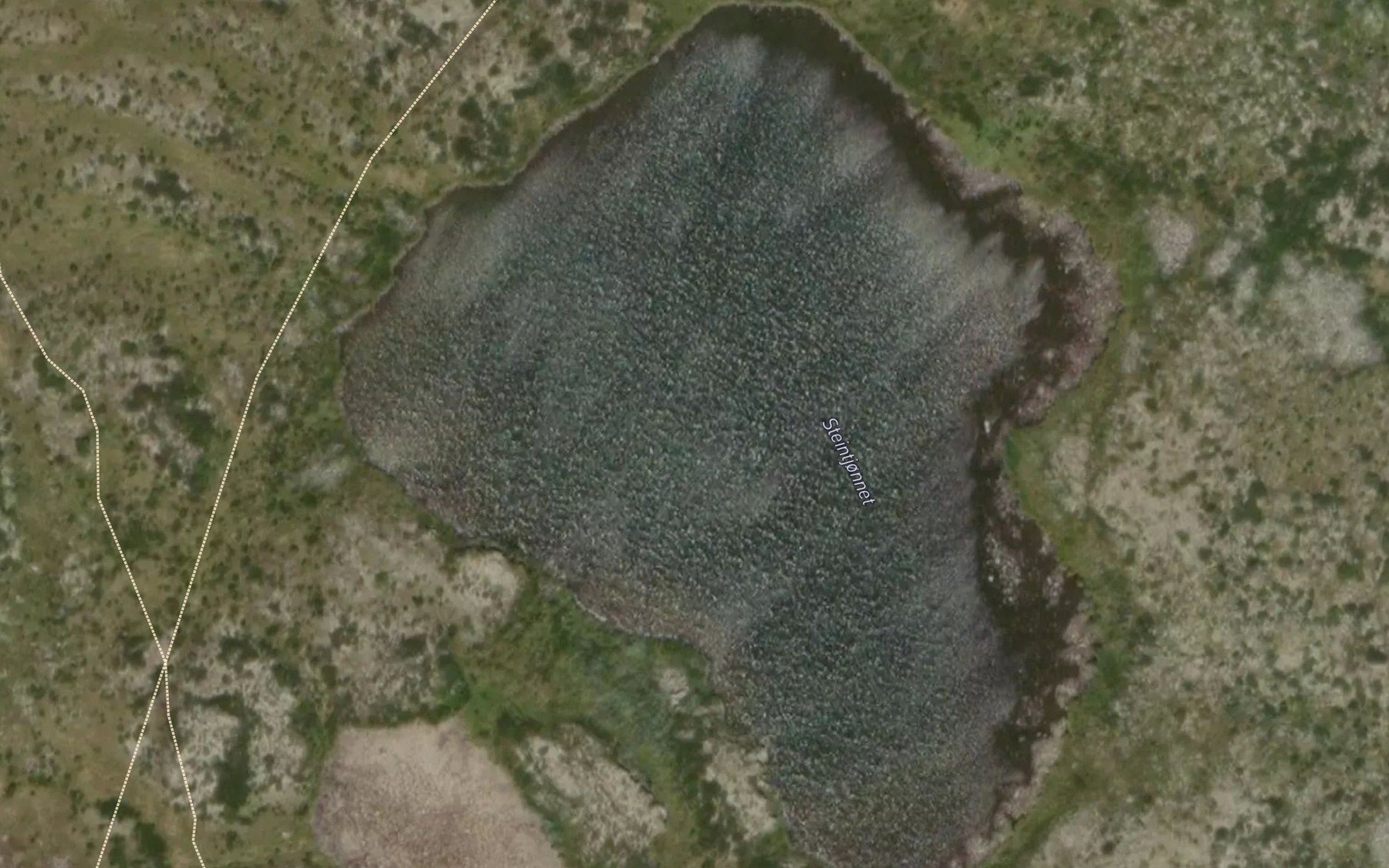 Satellite map of the Steintjornet