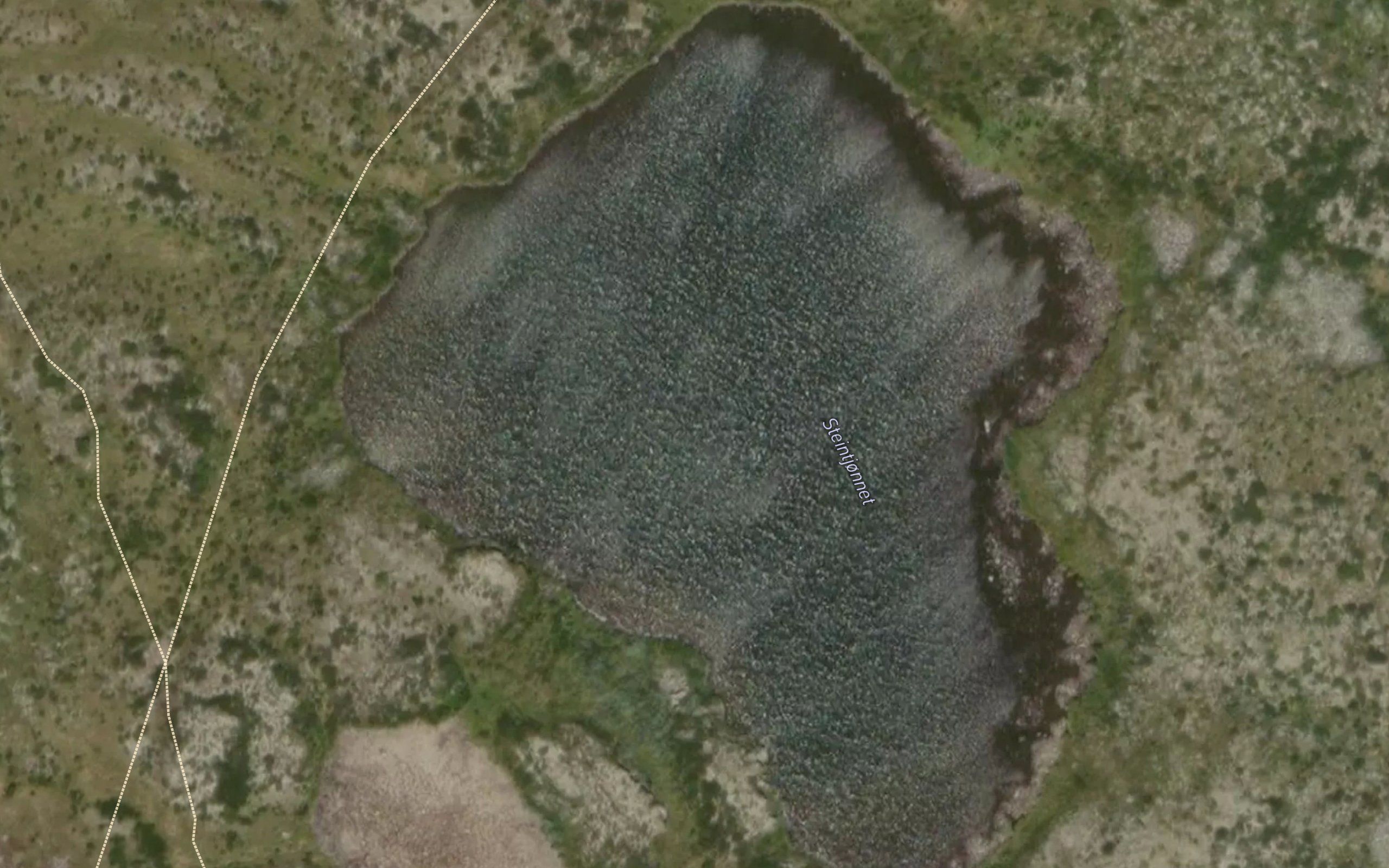 Steintjornet