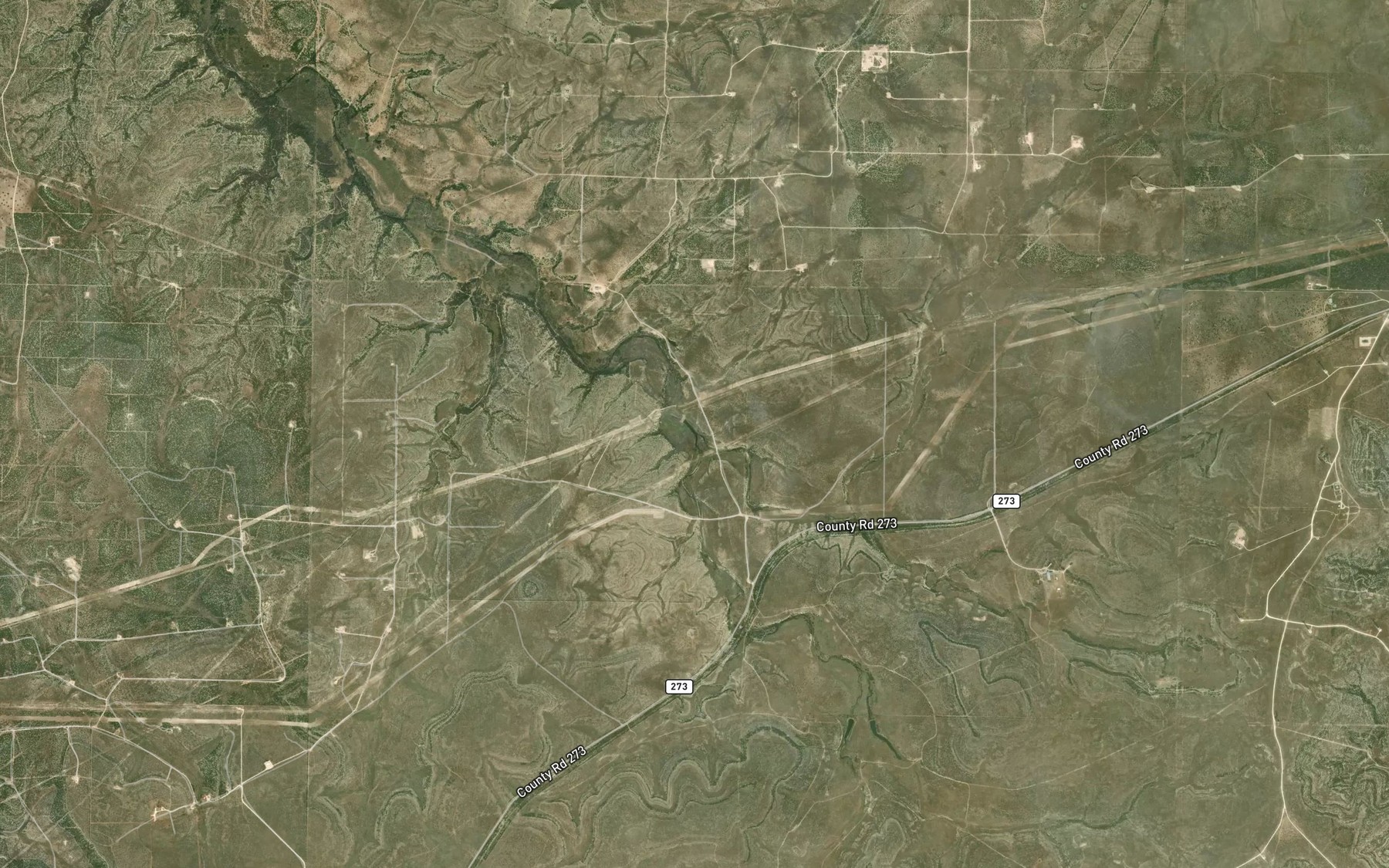 Satellite map of the Silver Lake