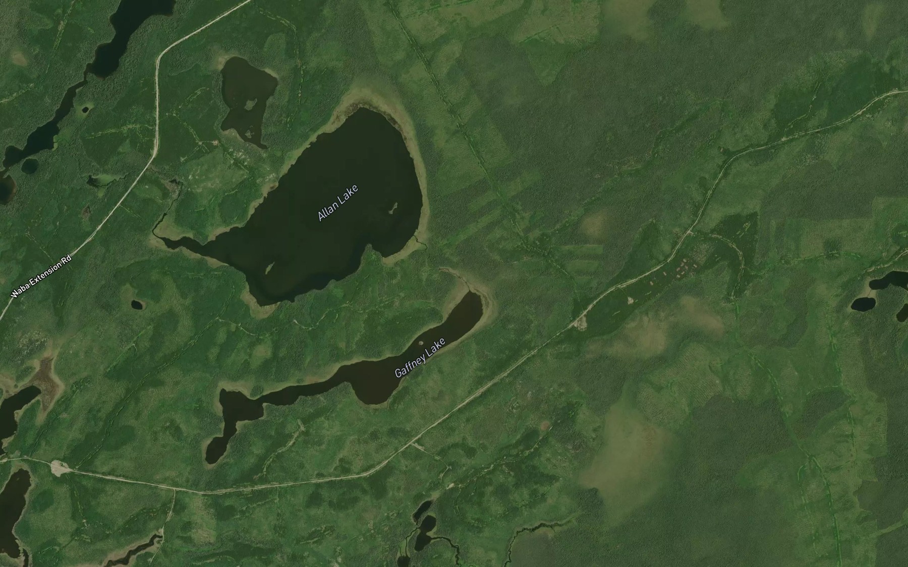 Satellite map of the Gaffney Creek