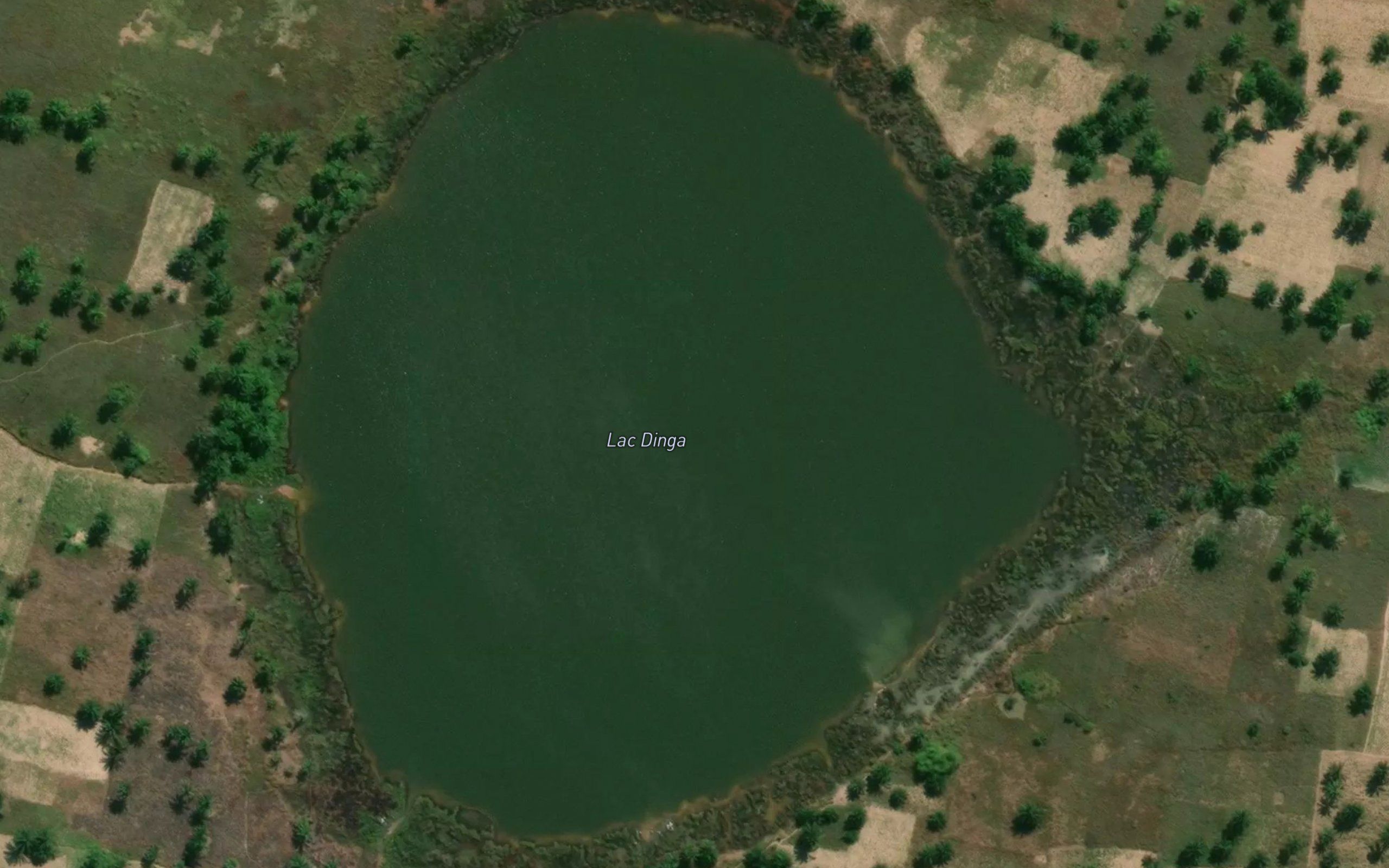Lac Dinga