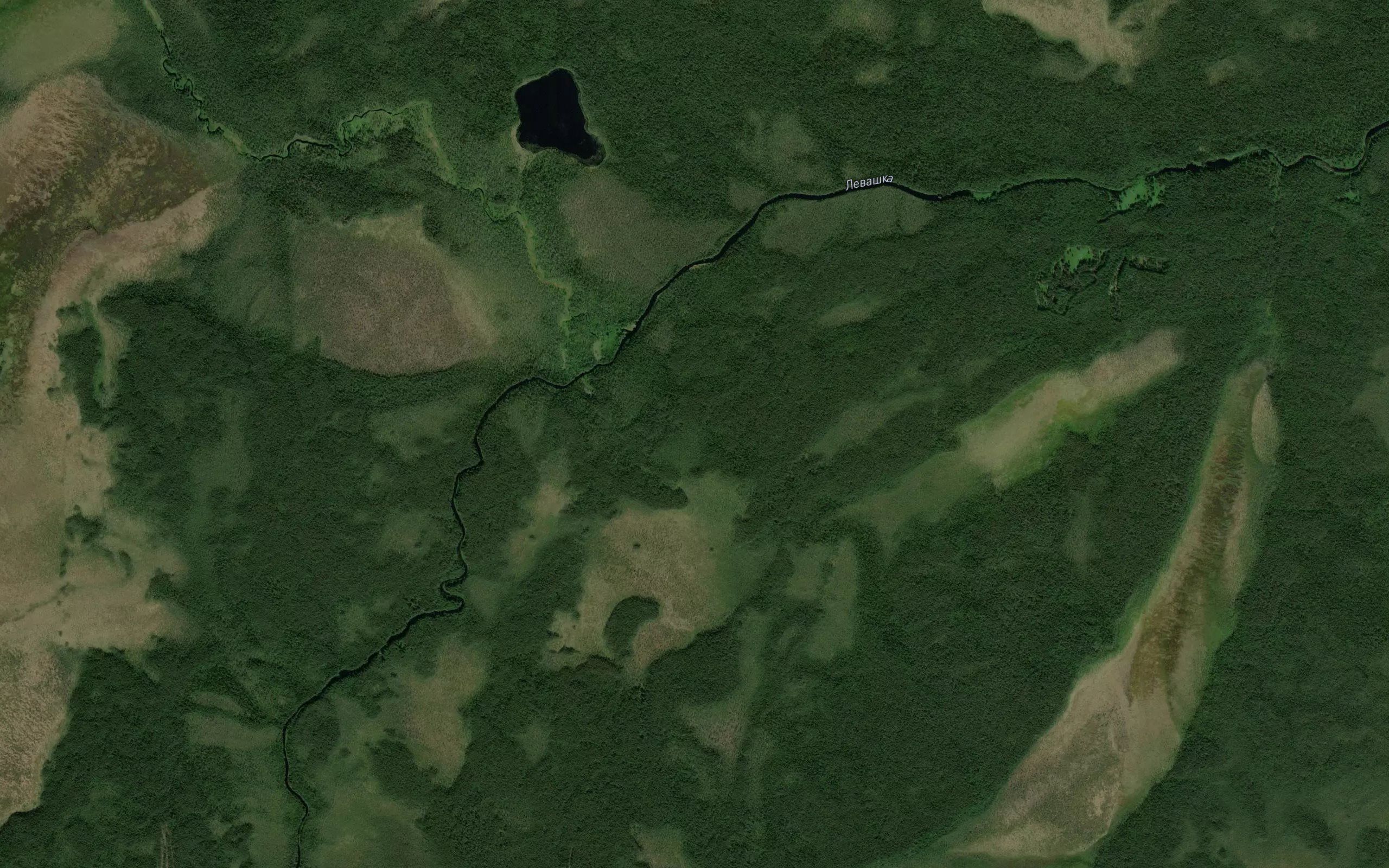 Berezovaya