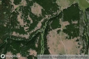 Lookout Creek
