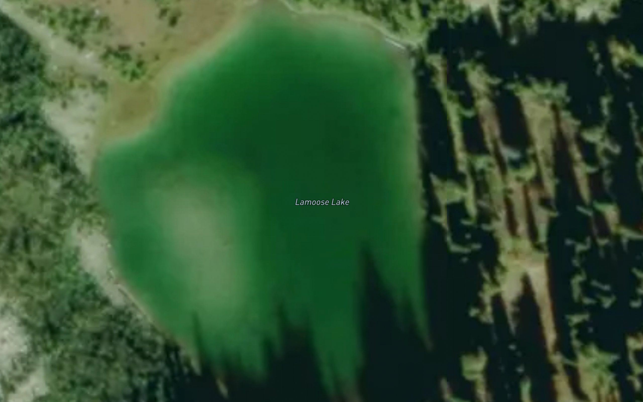 Lamoose Lake