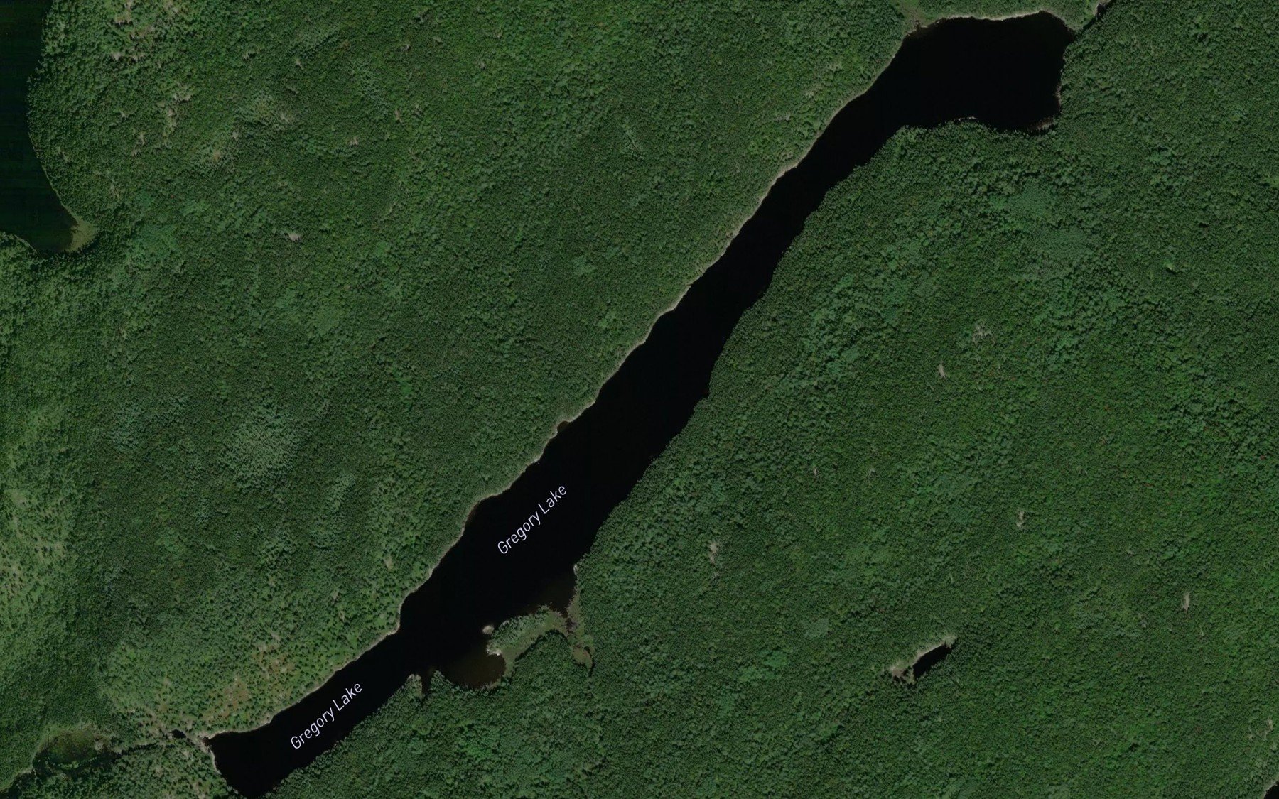 Satellite map of the Gregory Lake