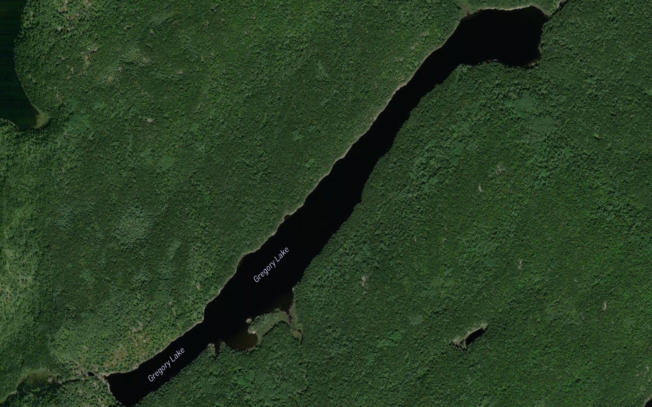 Gregory Lake