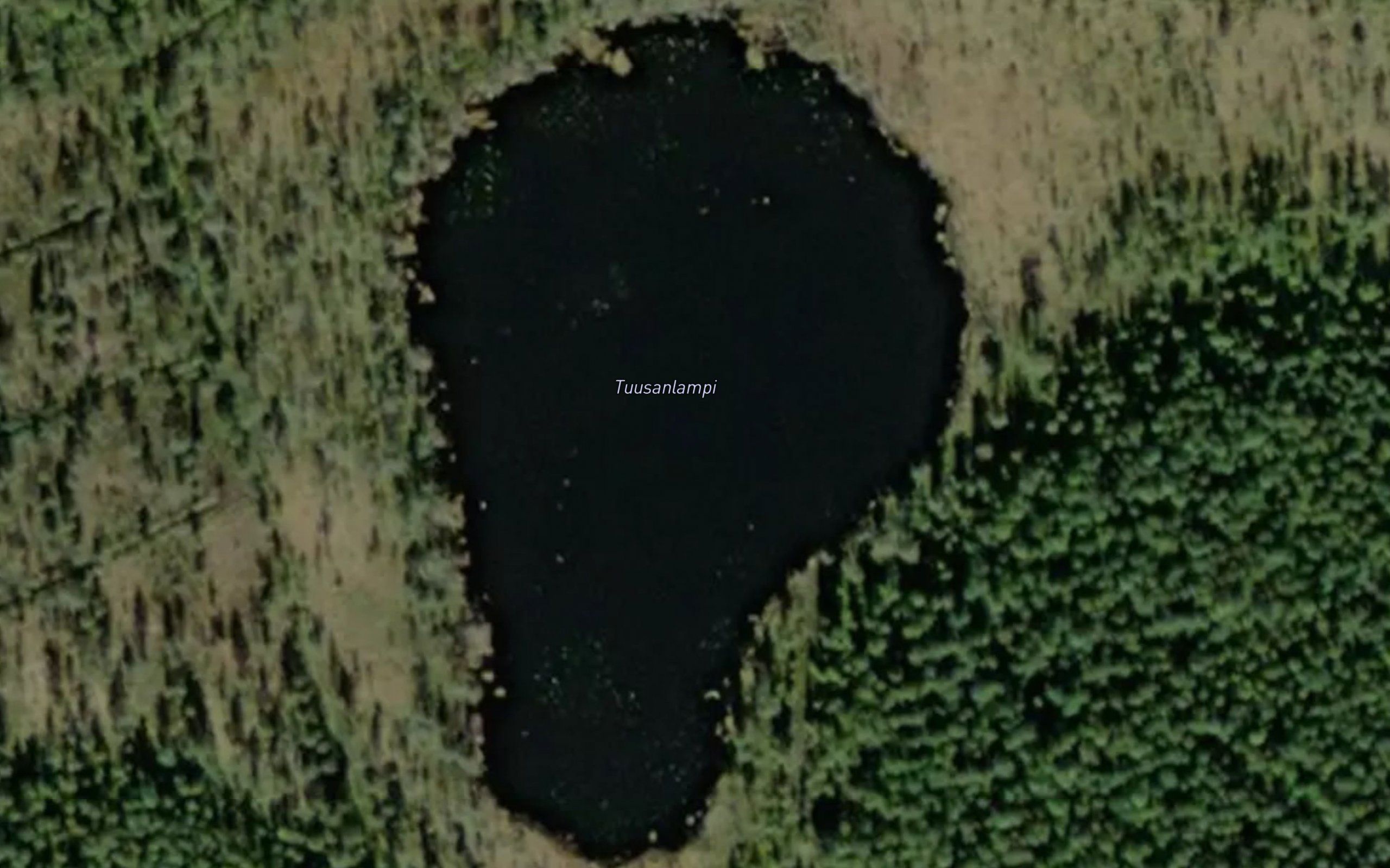 Tuusanlampi
