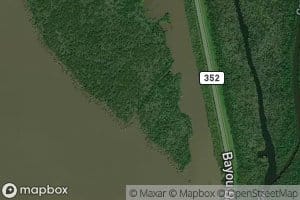 Bayou Coline