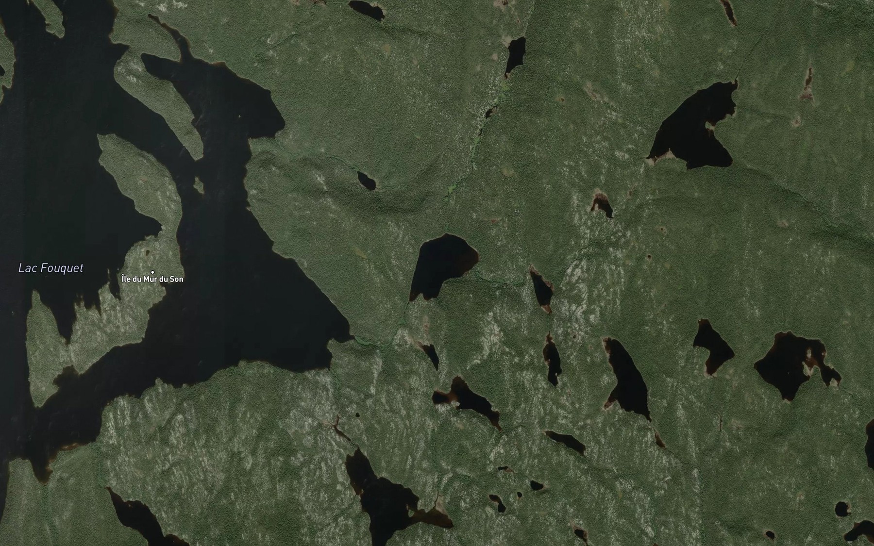 Satellite map of the Lac Creve-Coeur