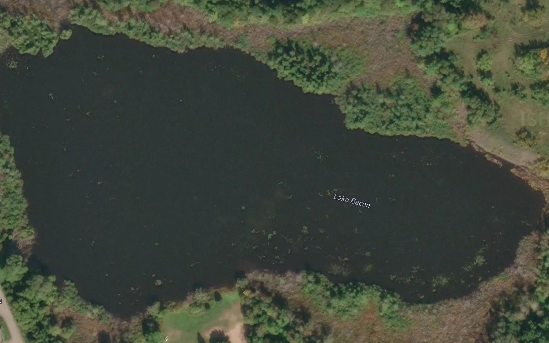 Satellite map of the Lake Bacon
