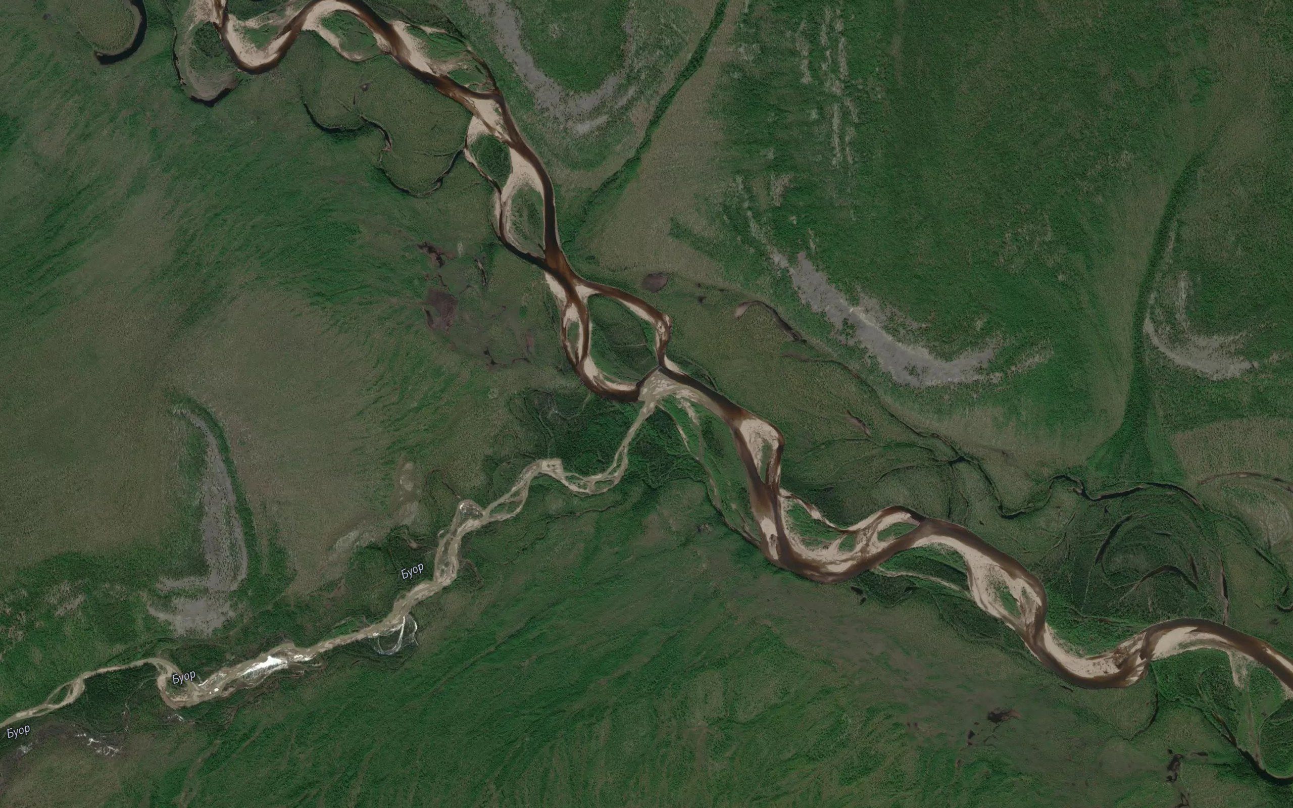 Bor