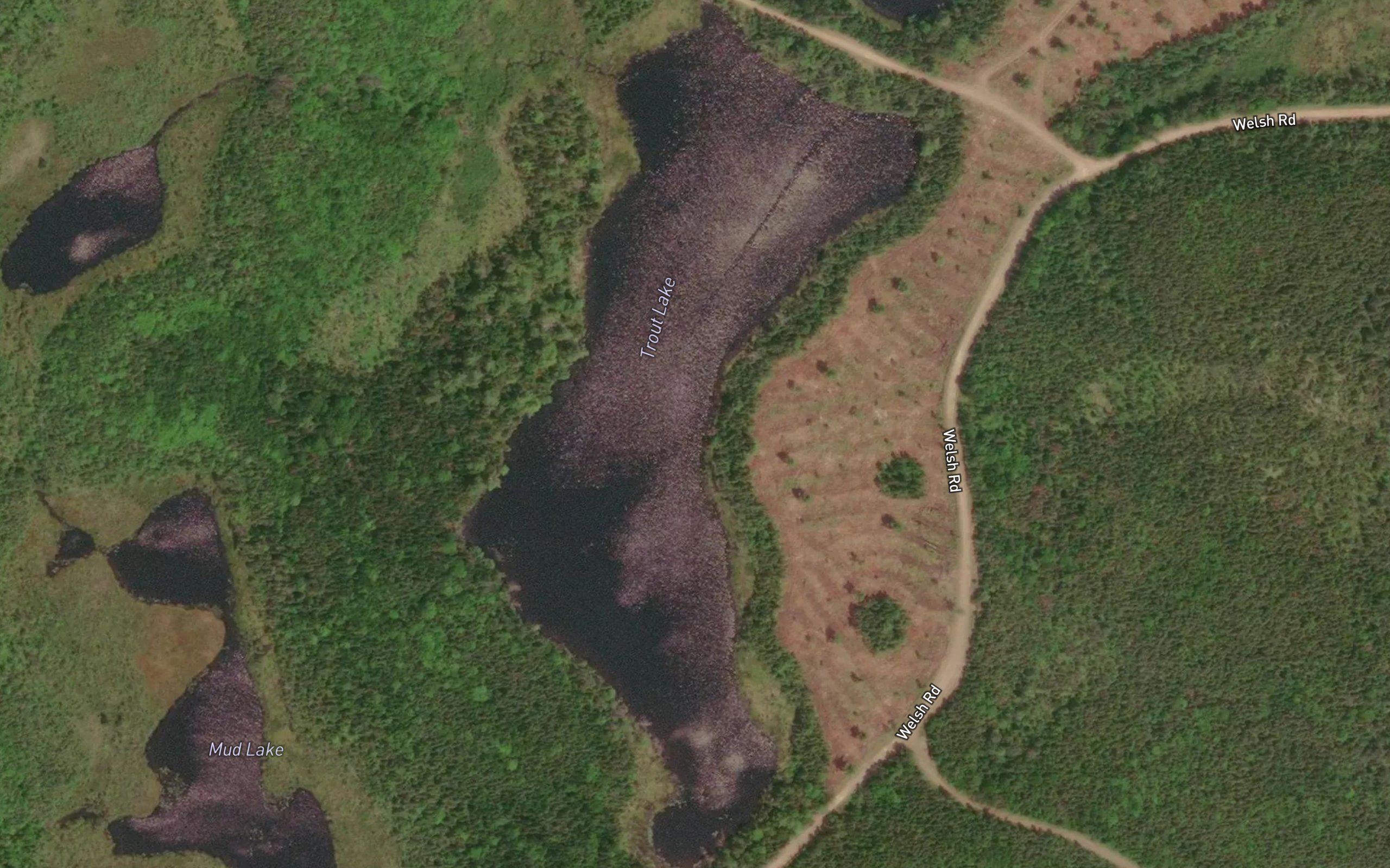 Trout Lake