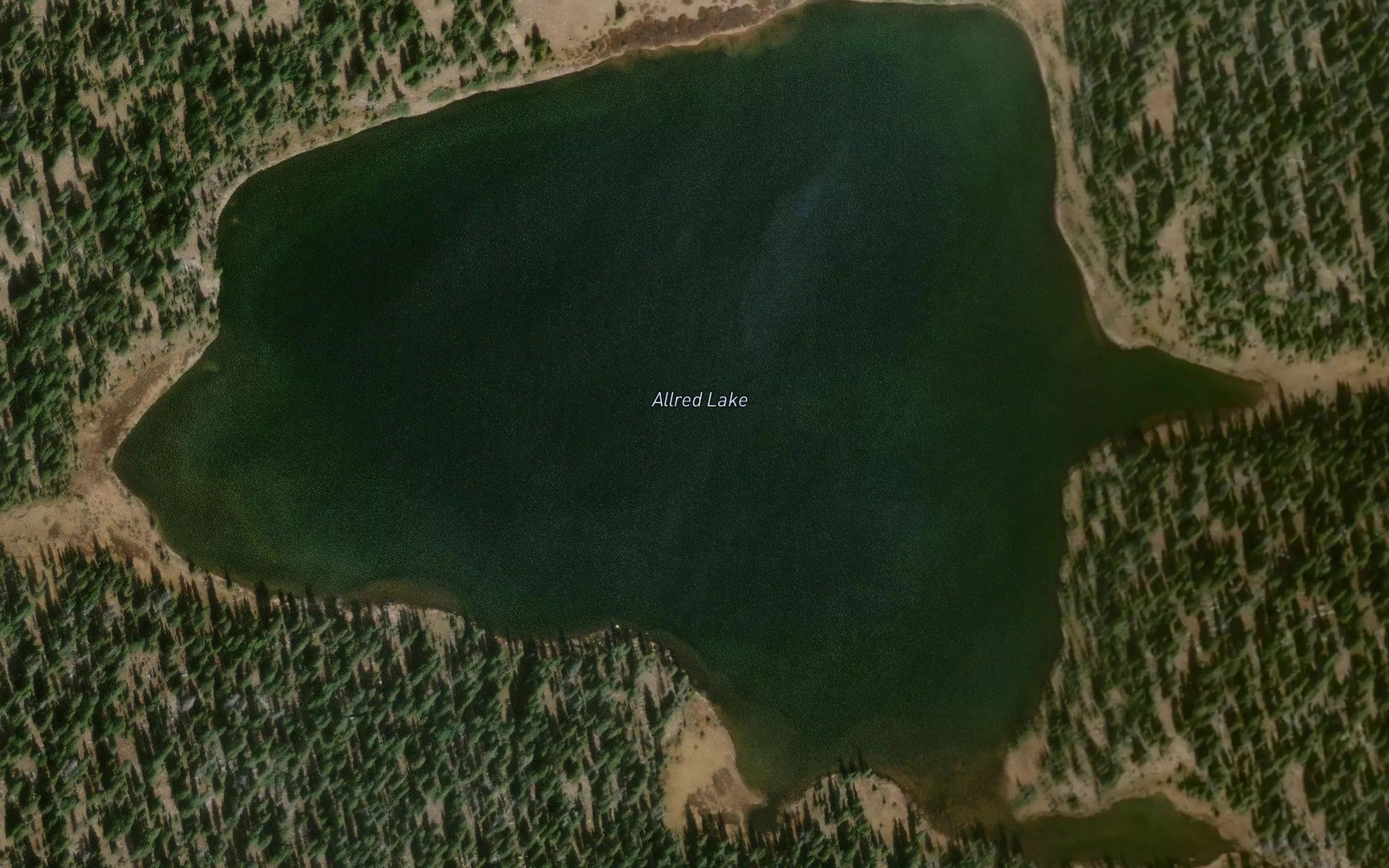 Allred Lake