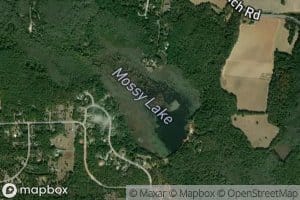 Mossy Lake