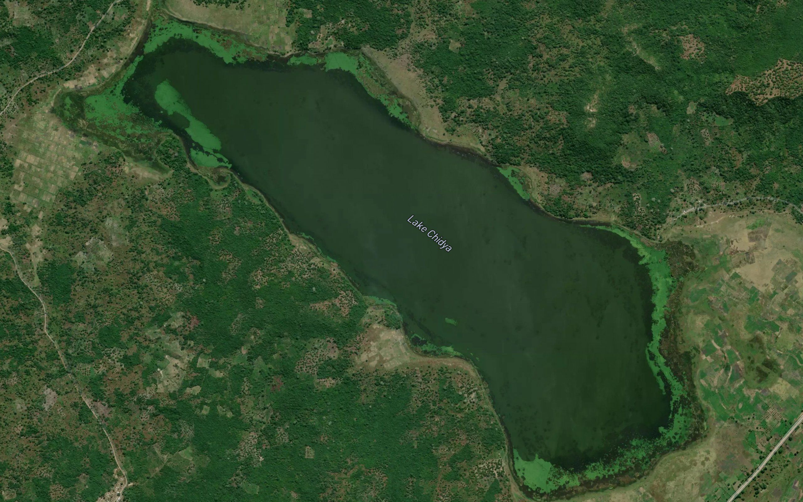 Lake Chidya
