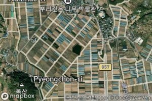 Pyeongchonmot