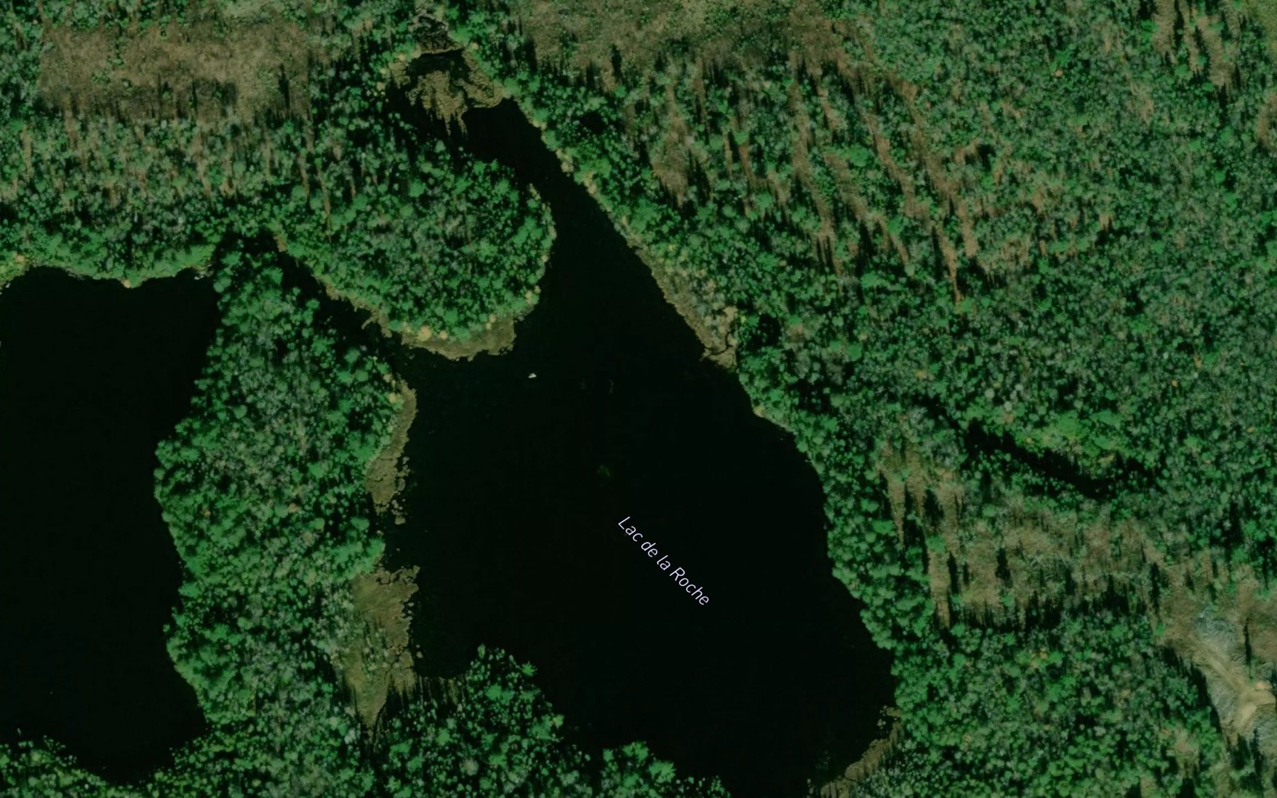 Satellite map of the Lac de la Roche
