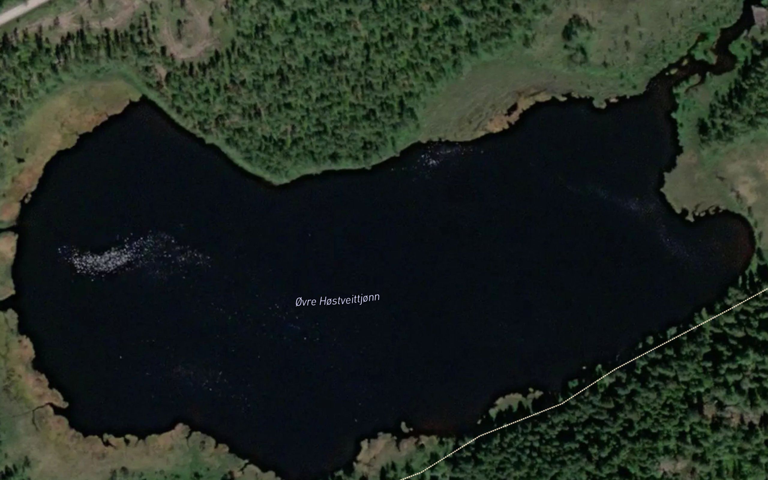 Hostveittjornane