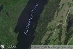 Saltwater Brook