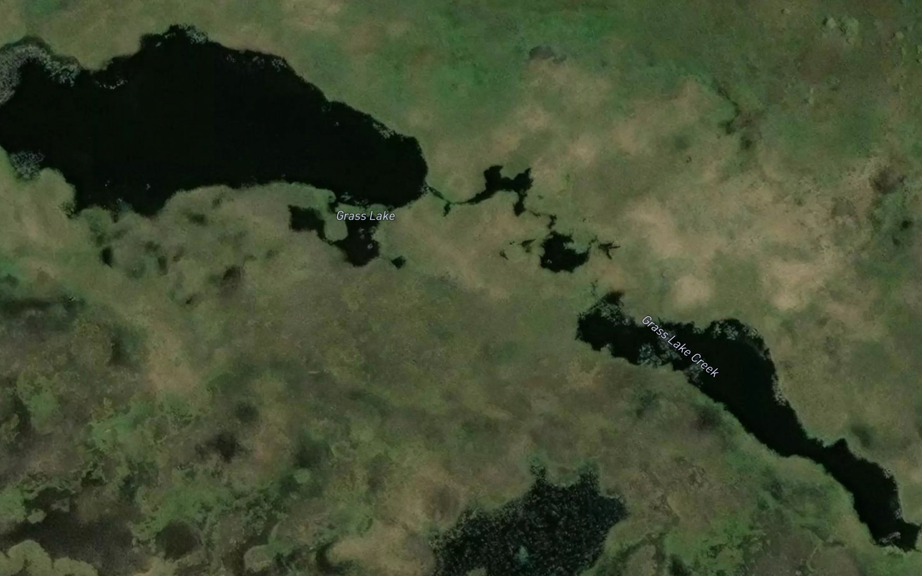 Satellite map of the Grass Lake