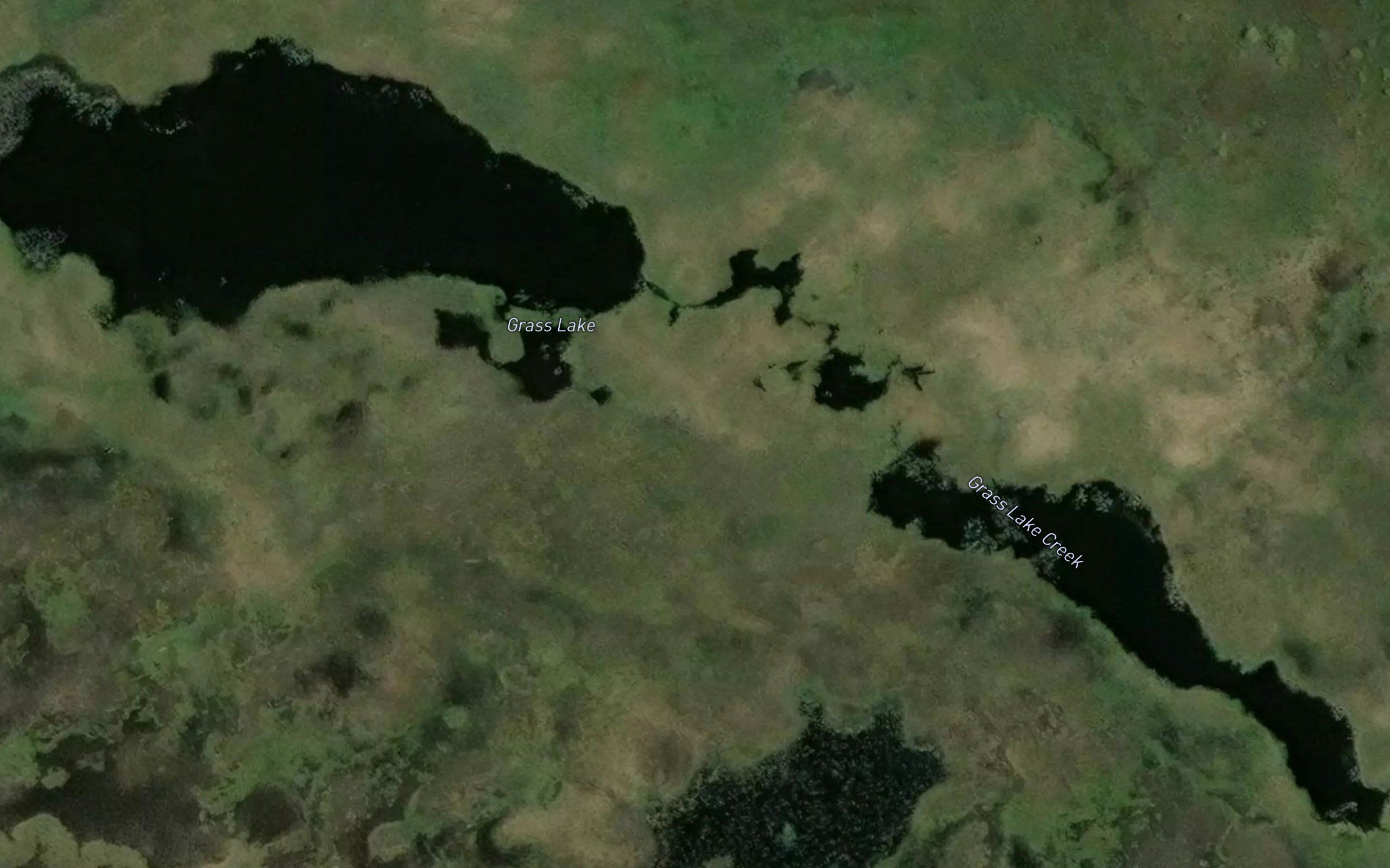 Grass Lake