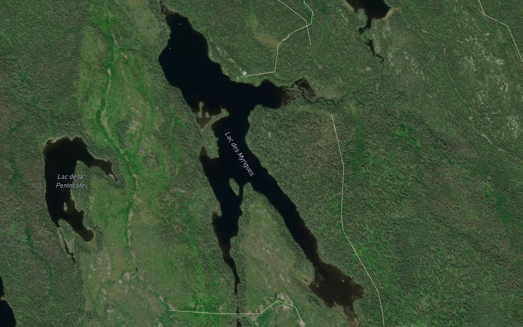 Satellite map of the Lac des Myriques