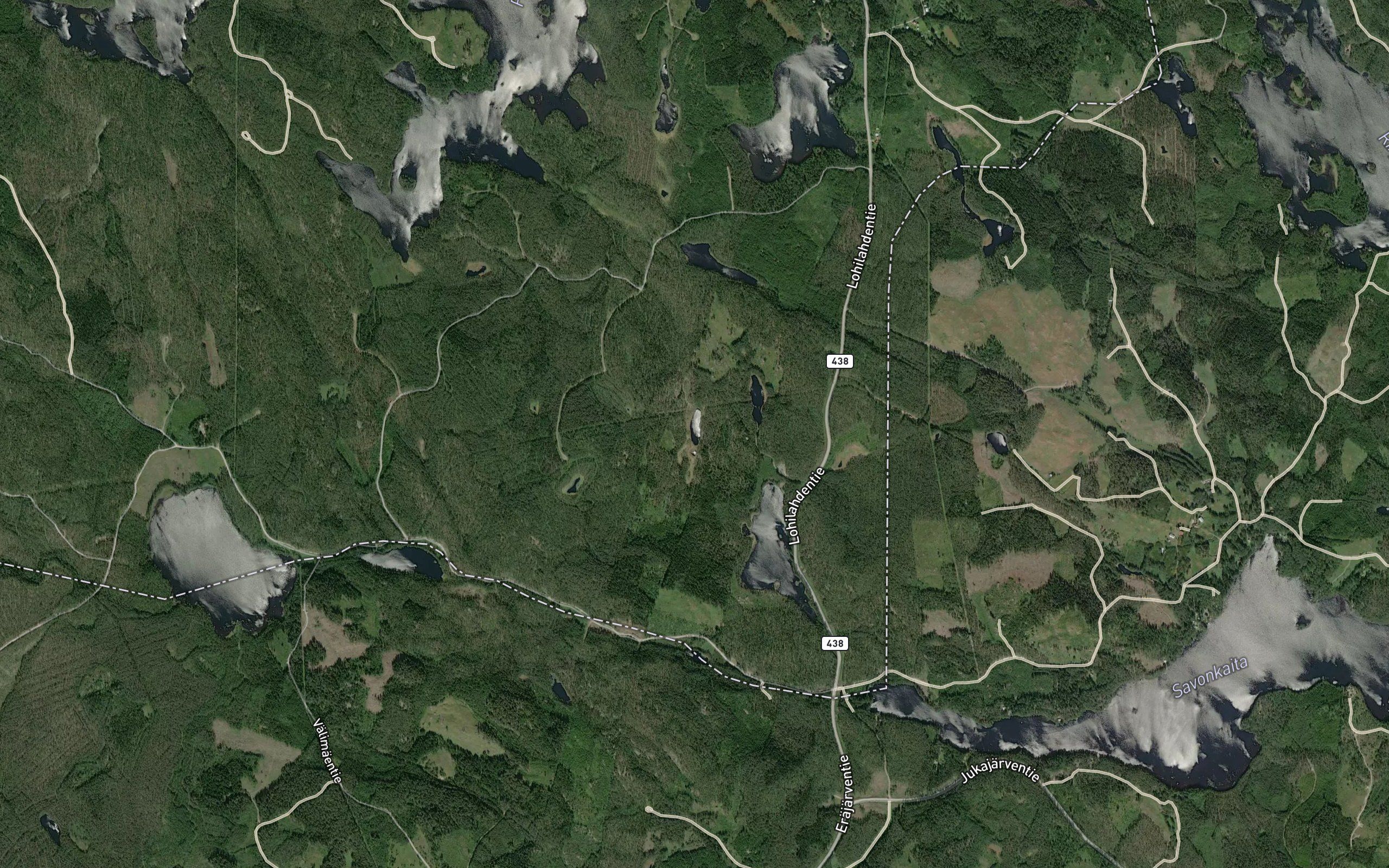 Kortelammit