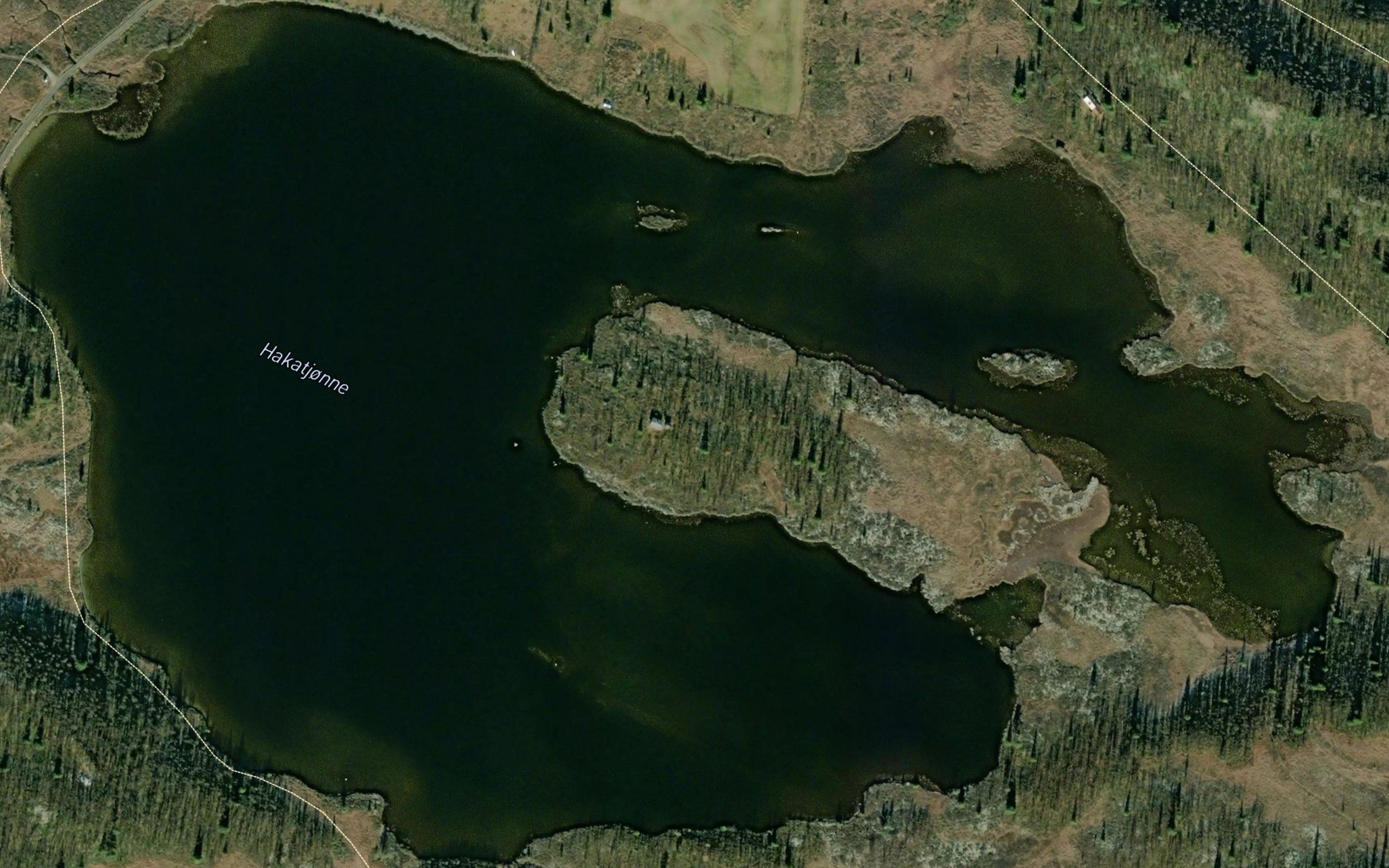 Hakatjorni