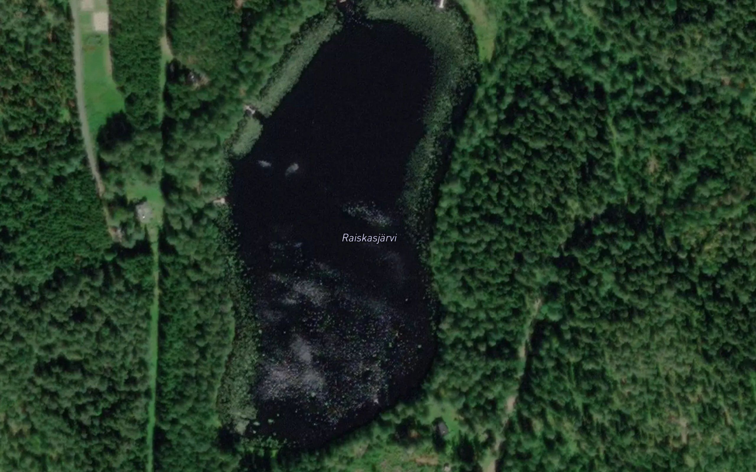 Raiskasjarvi