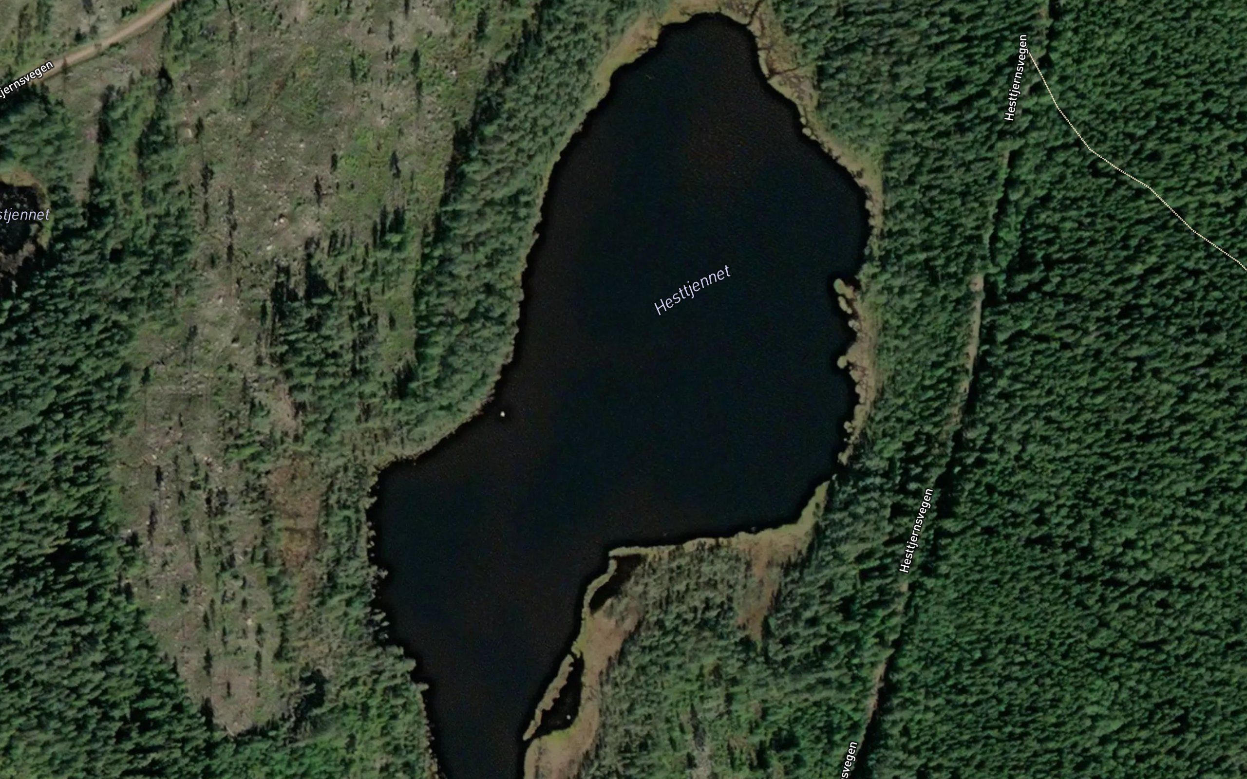 Hesttjernet