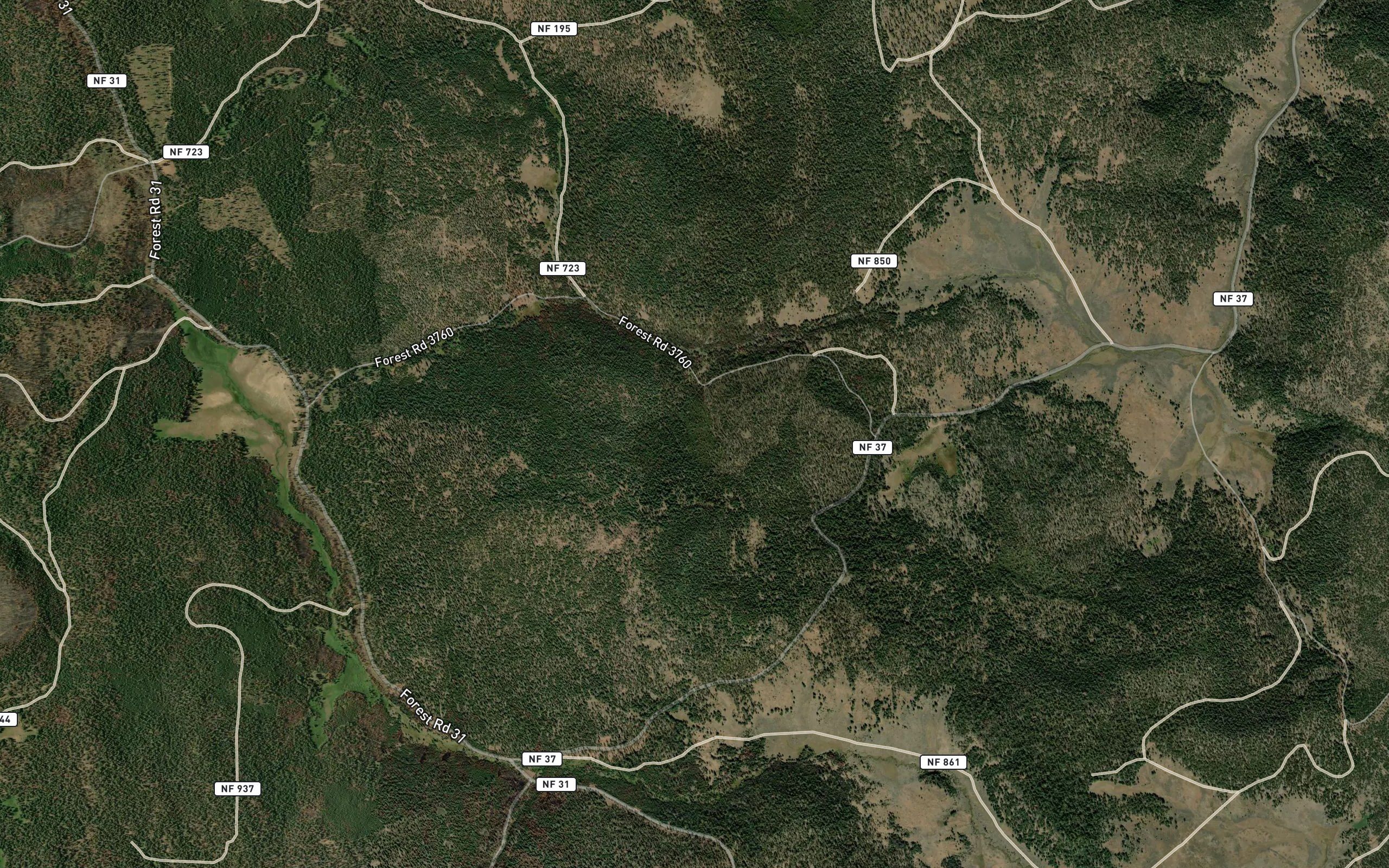 Pine Ridge Spring