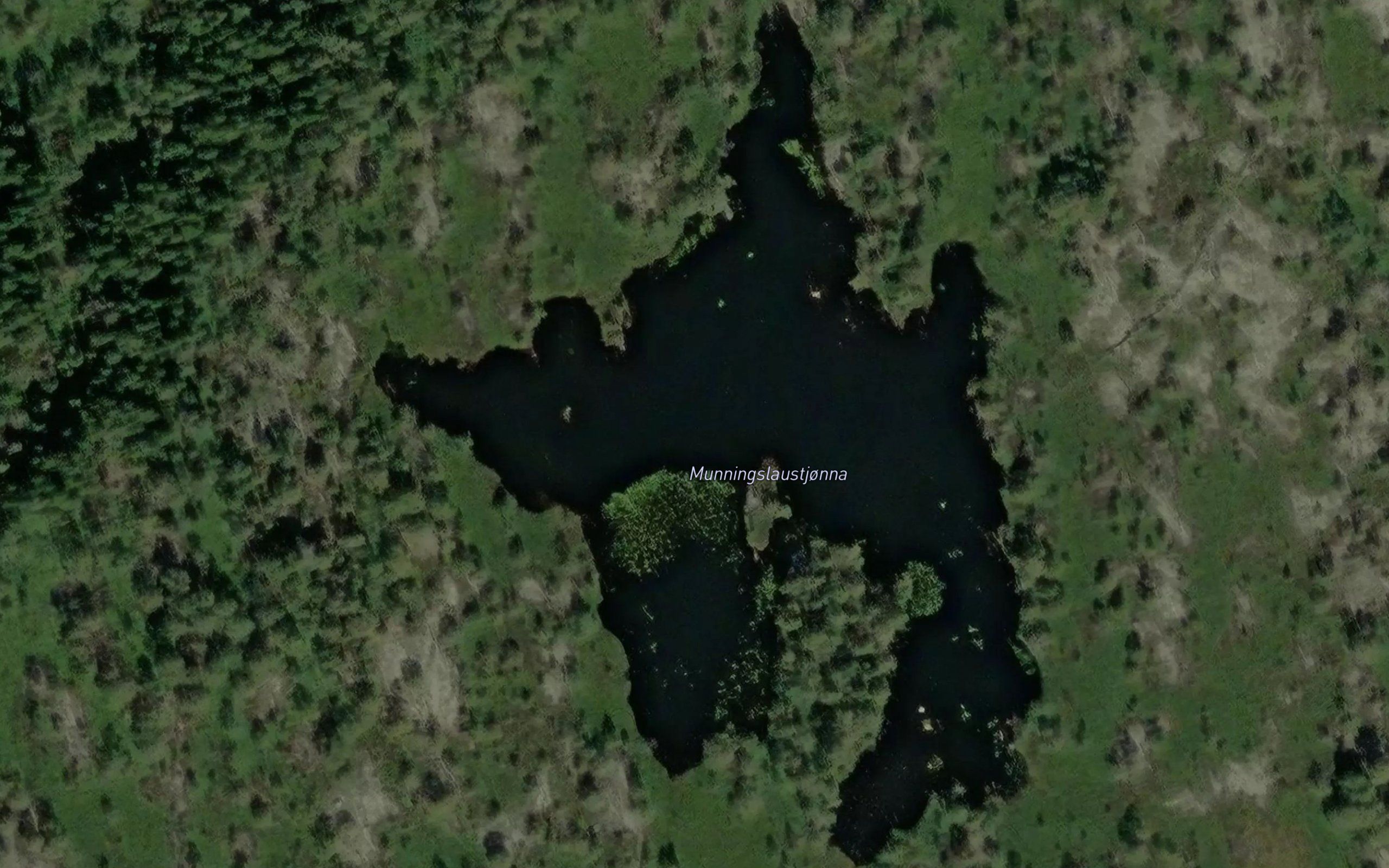 Munningslaustjonna