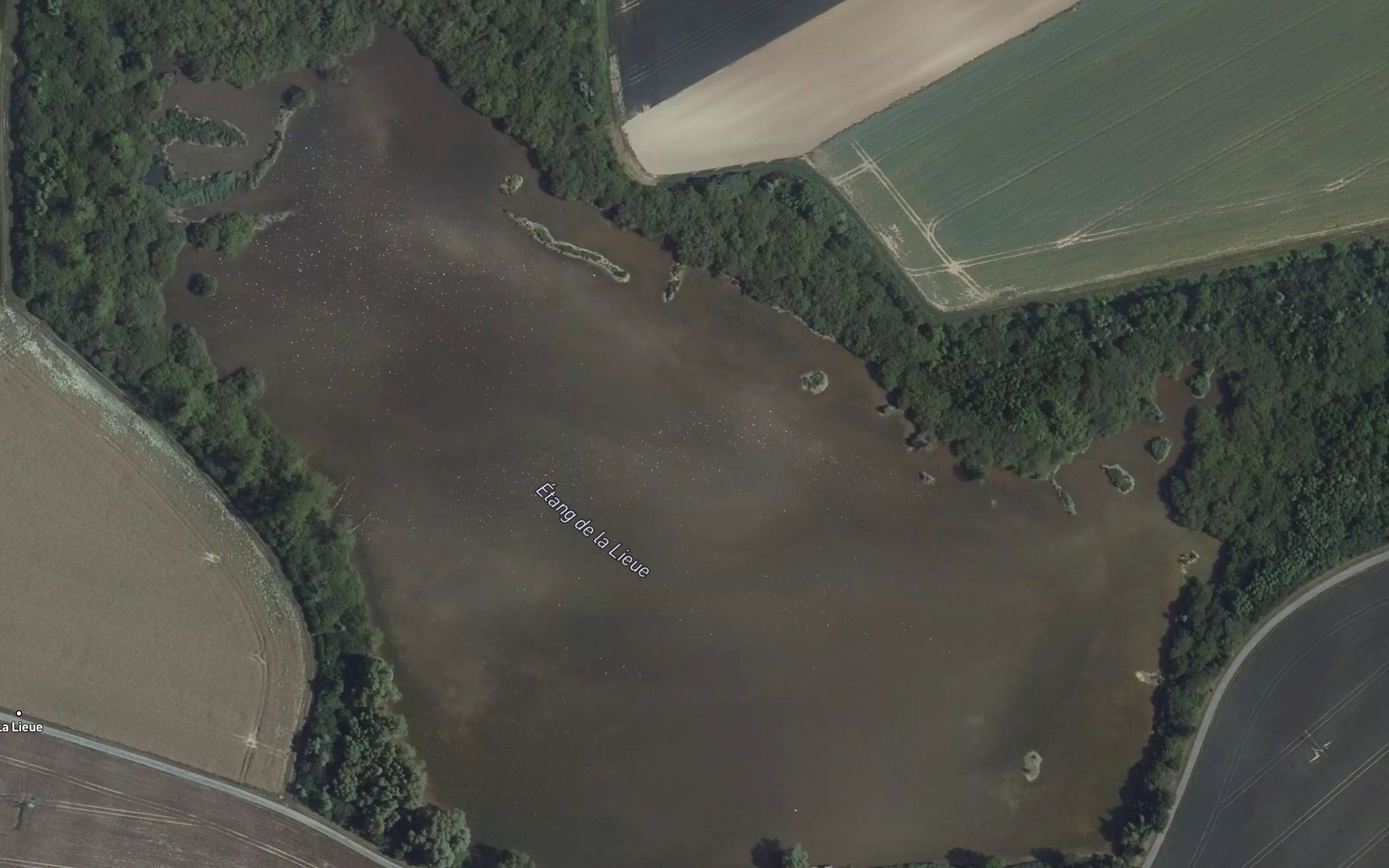 Etang de la Lieue