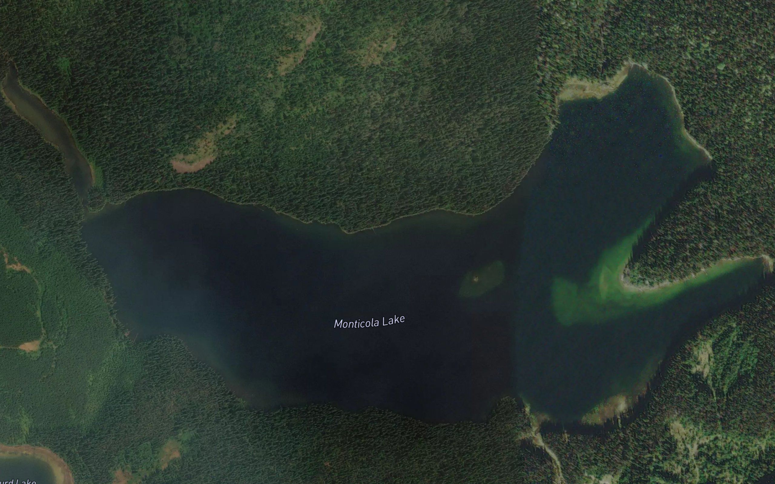Monticola Lake