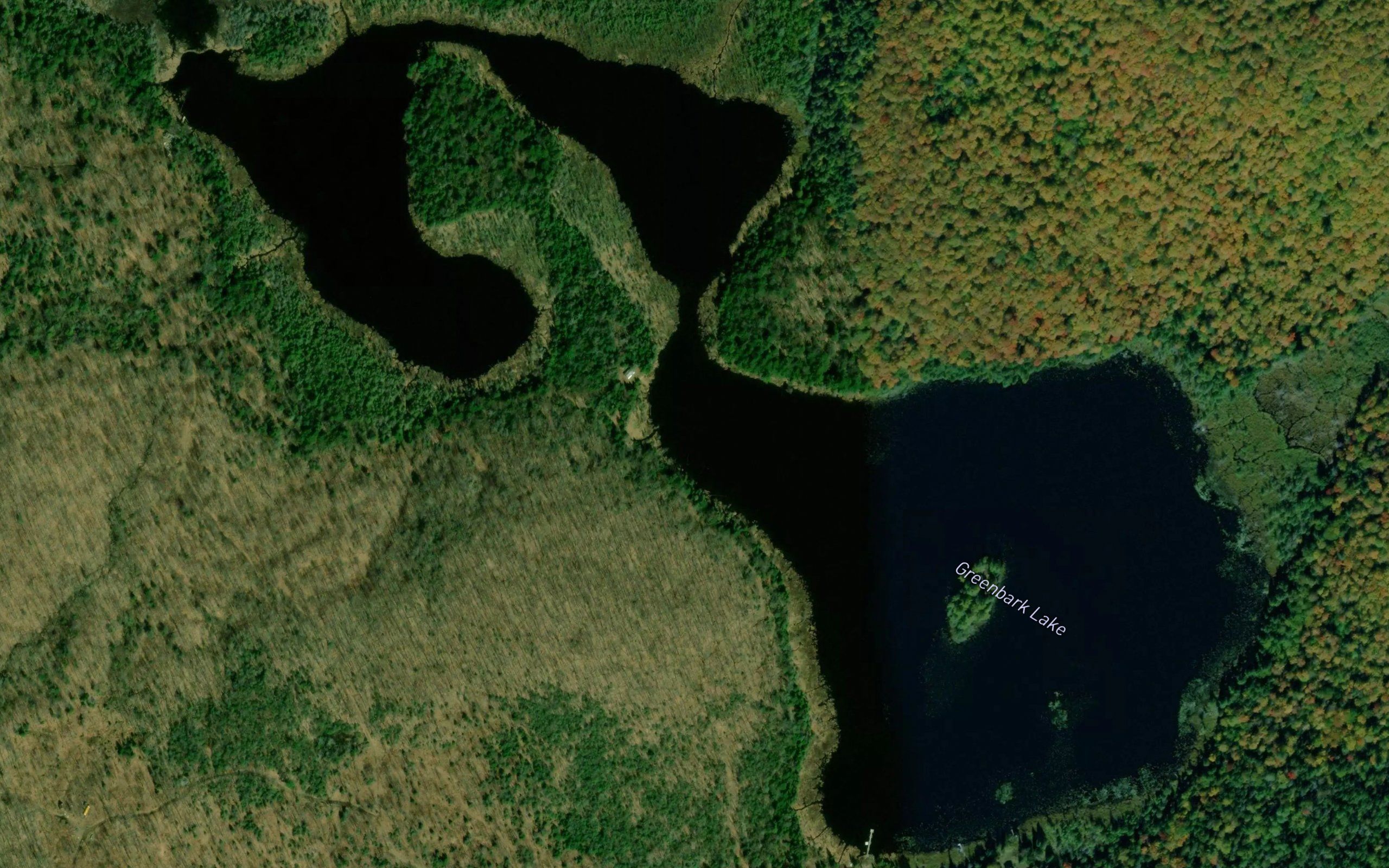 Greenbark Lake