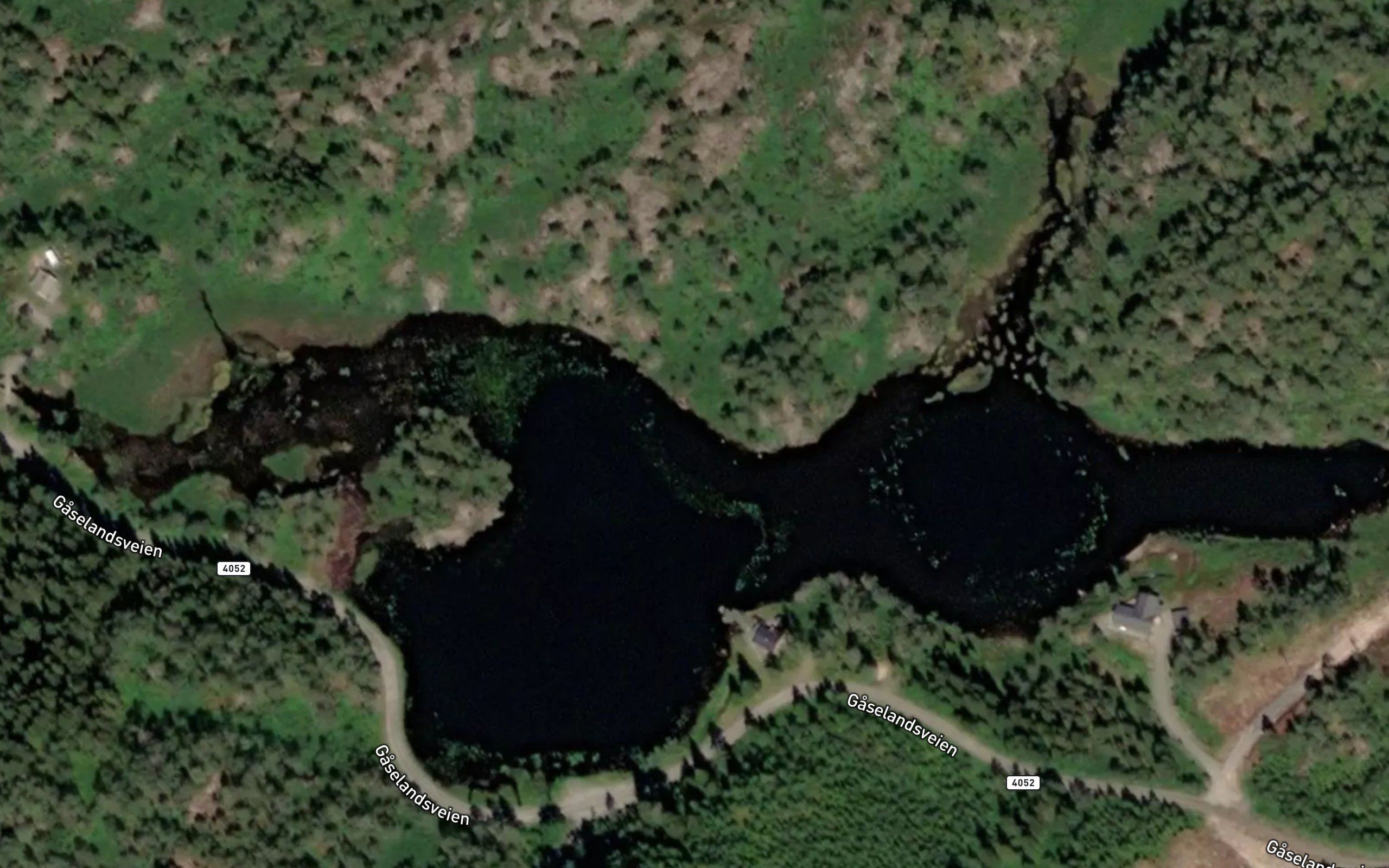 Eigedalsvannet