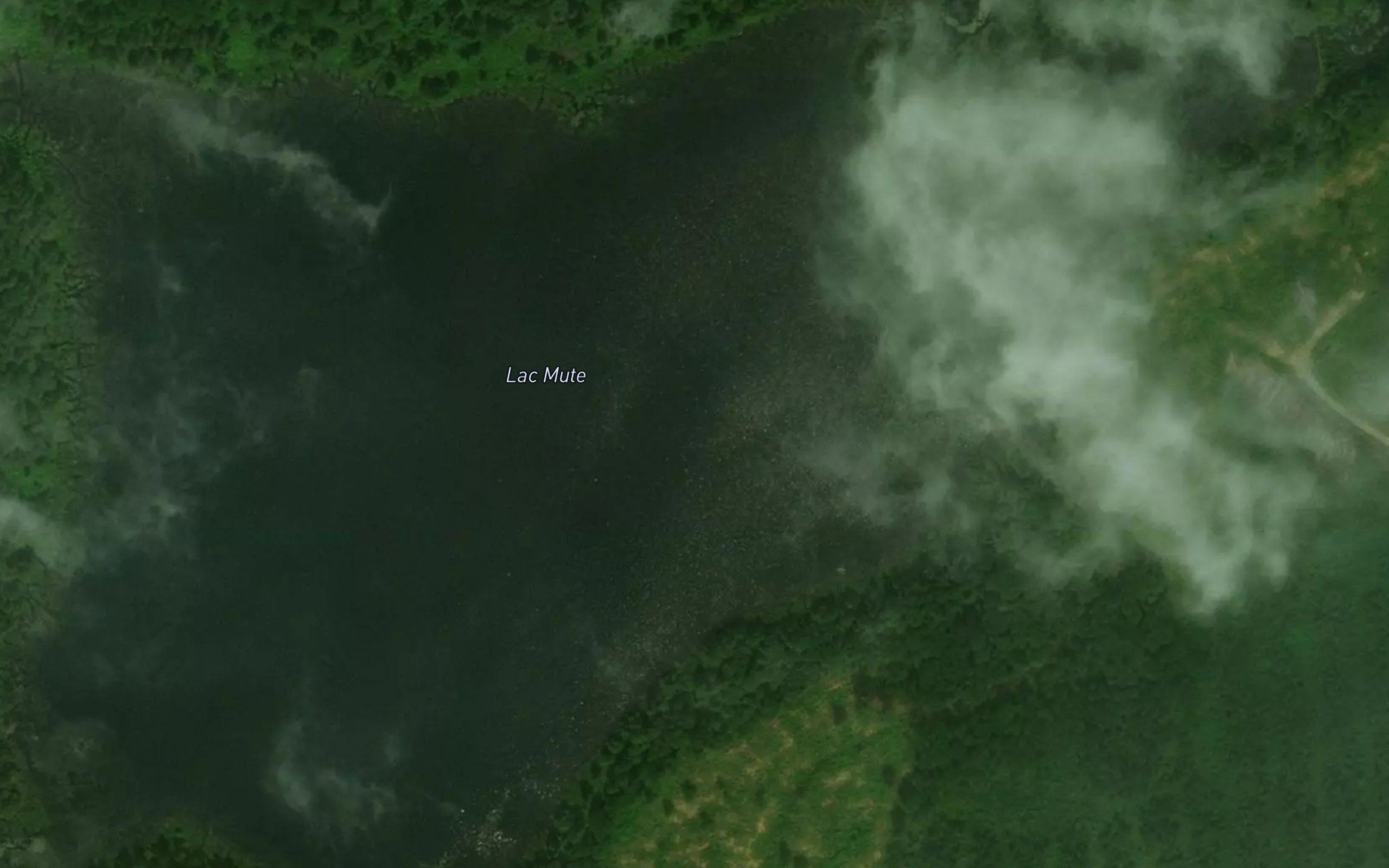 Lac Mute