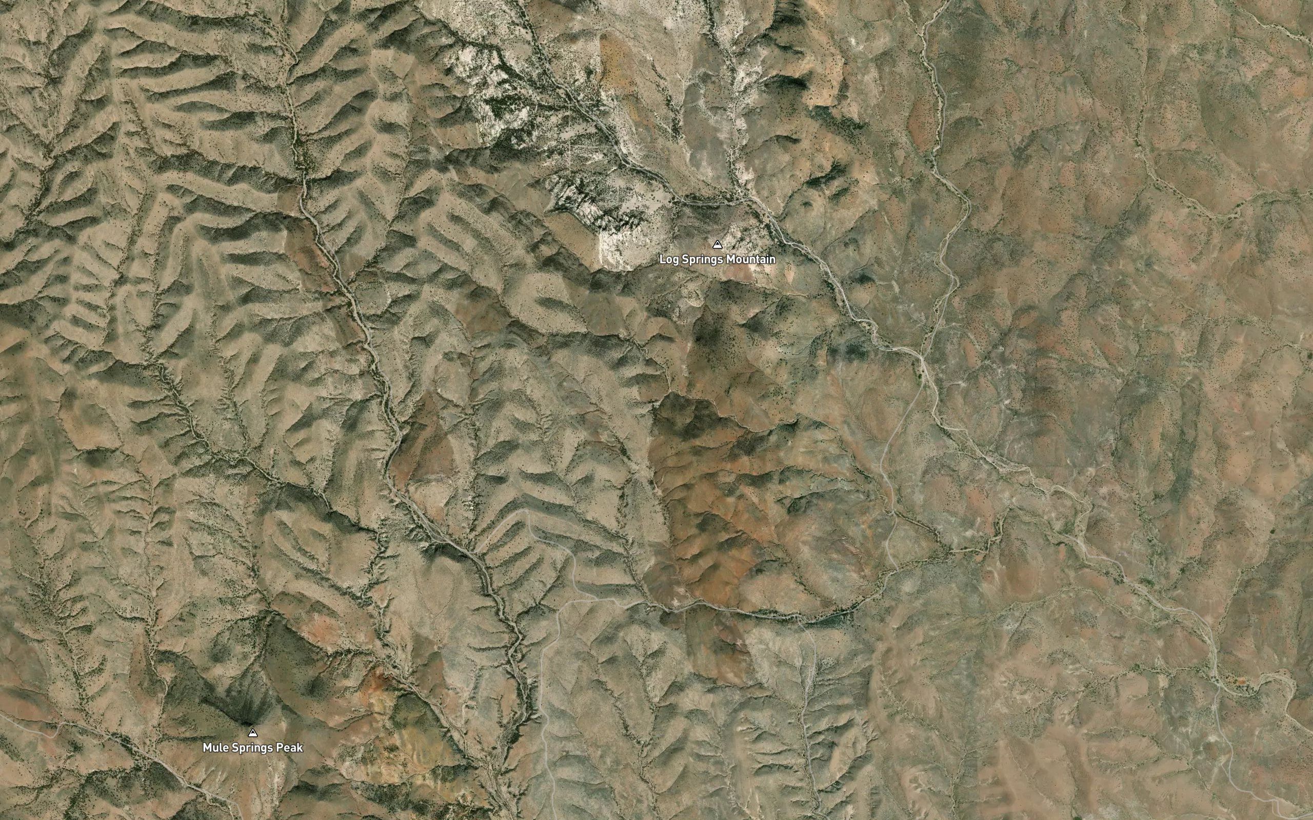 Grapevine Spring