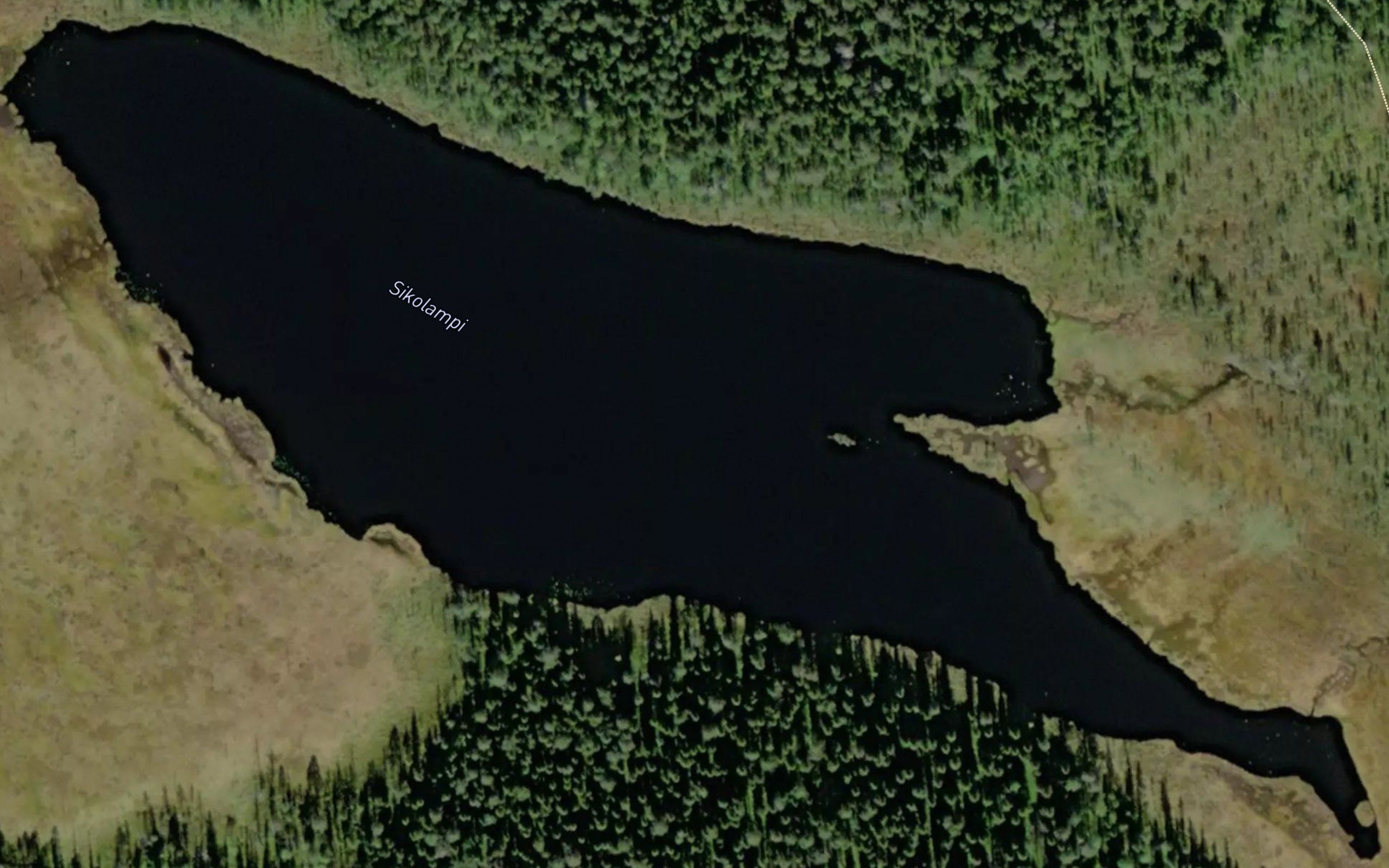 Sikolampi