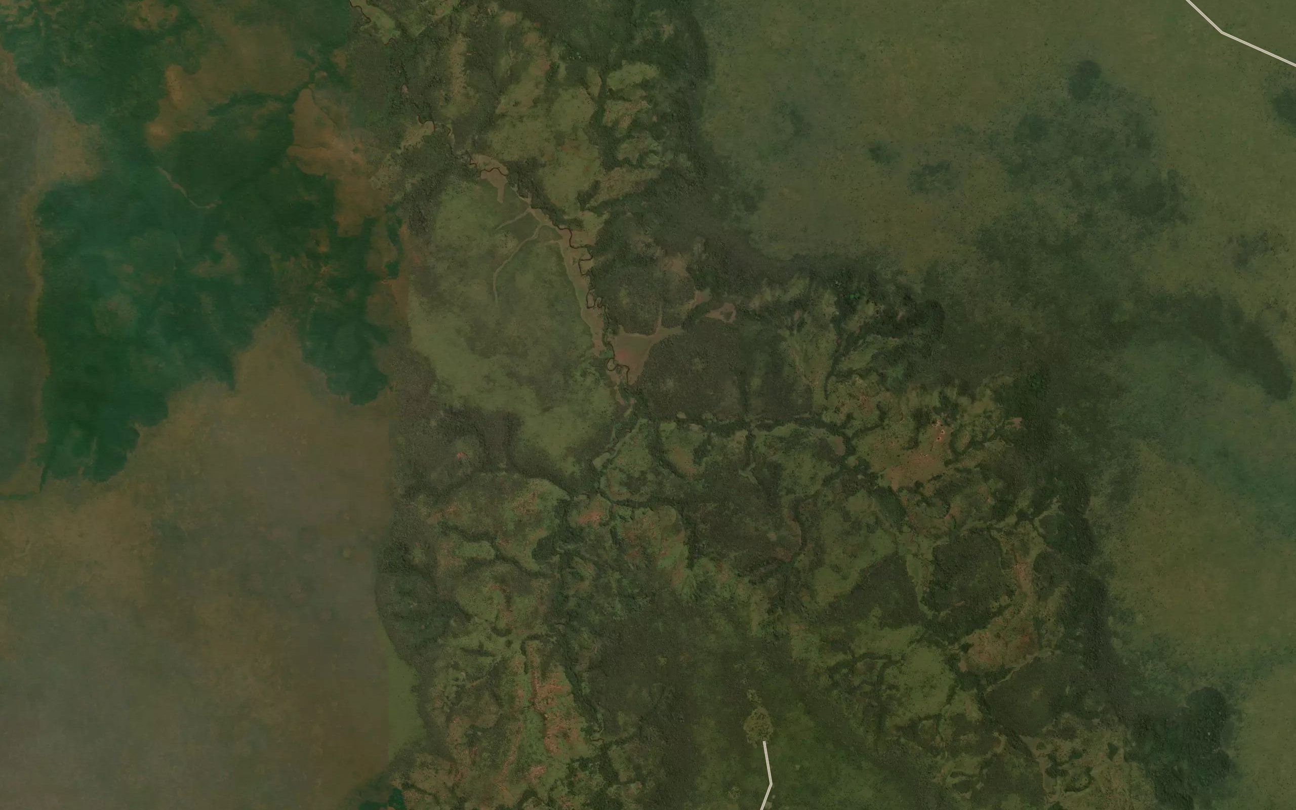 Cazamba