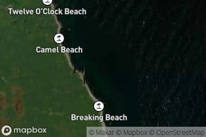 Pounce Cove