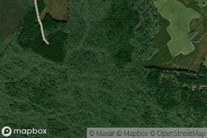 Dean Swamp
