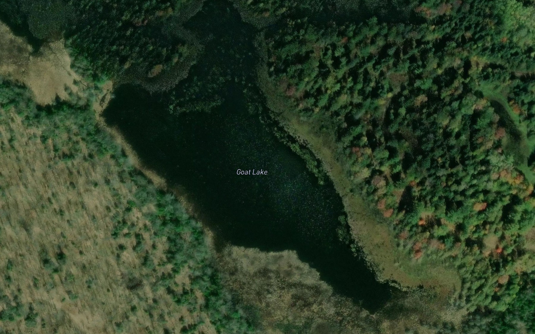 Satellite map of the Goat Lake