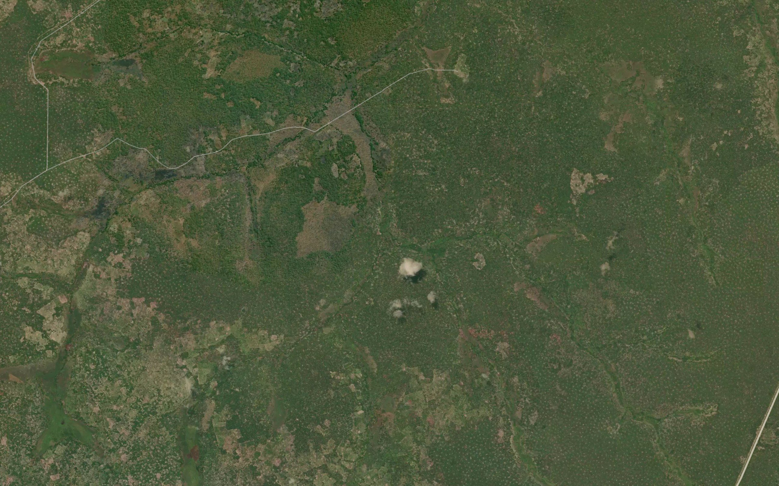 Museneji