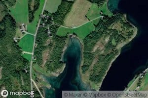 Gullvikosen