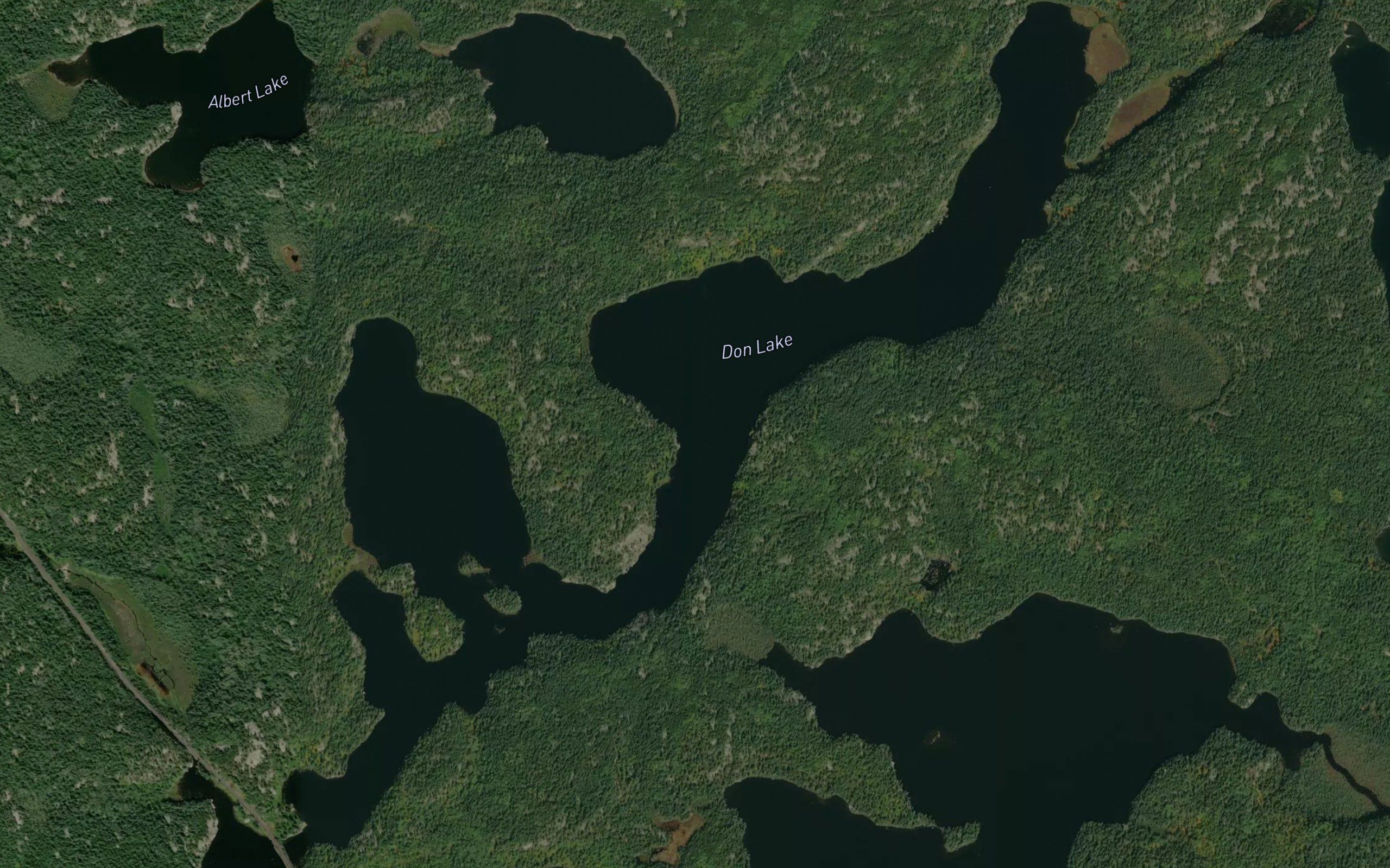 Don Lake