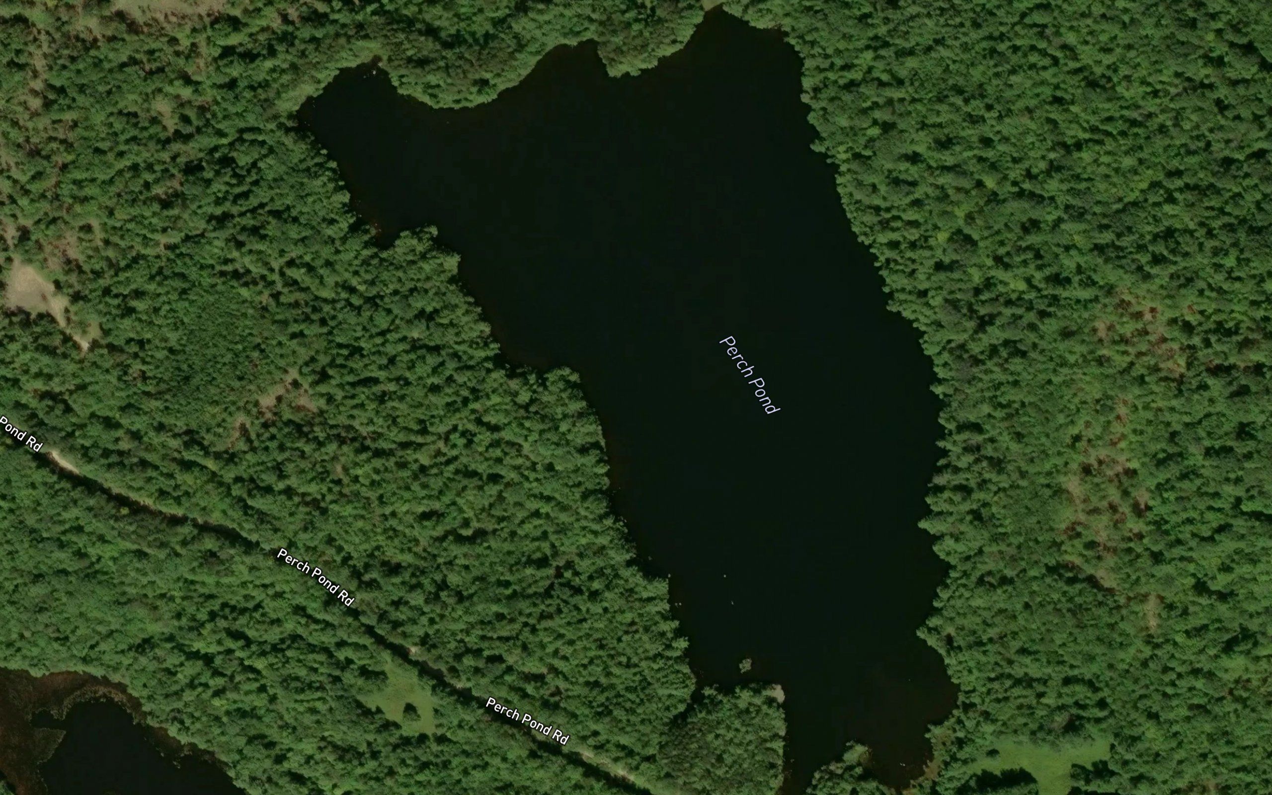 Perch Pond