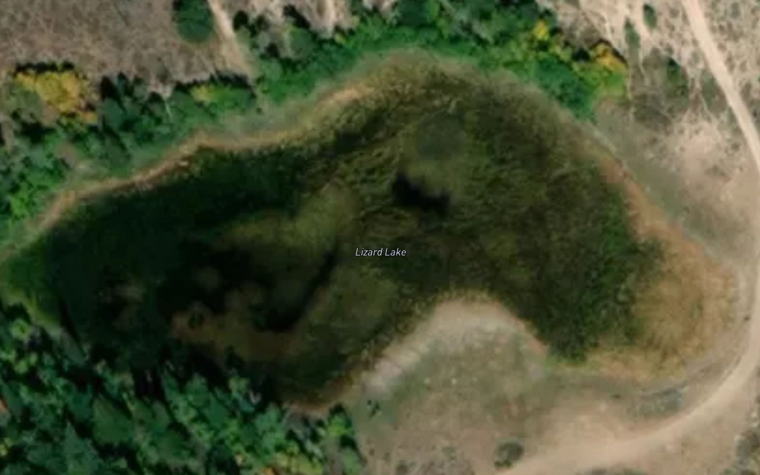 Lizard Lake
