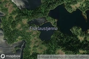 Fisklaustjonna